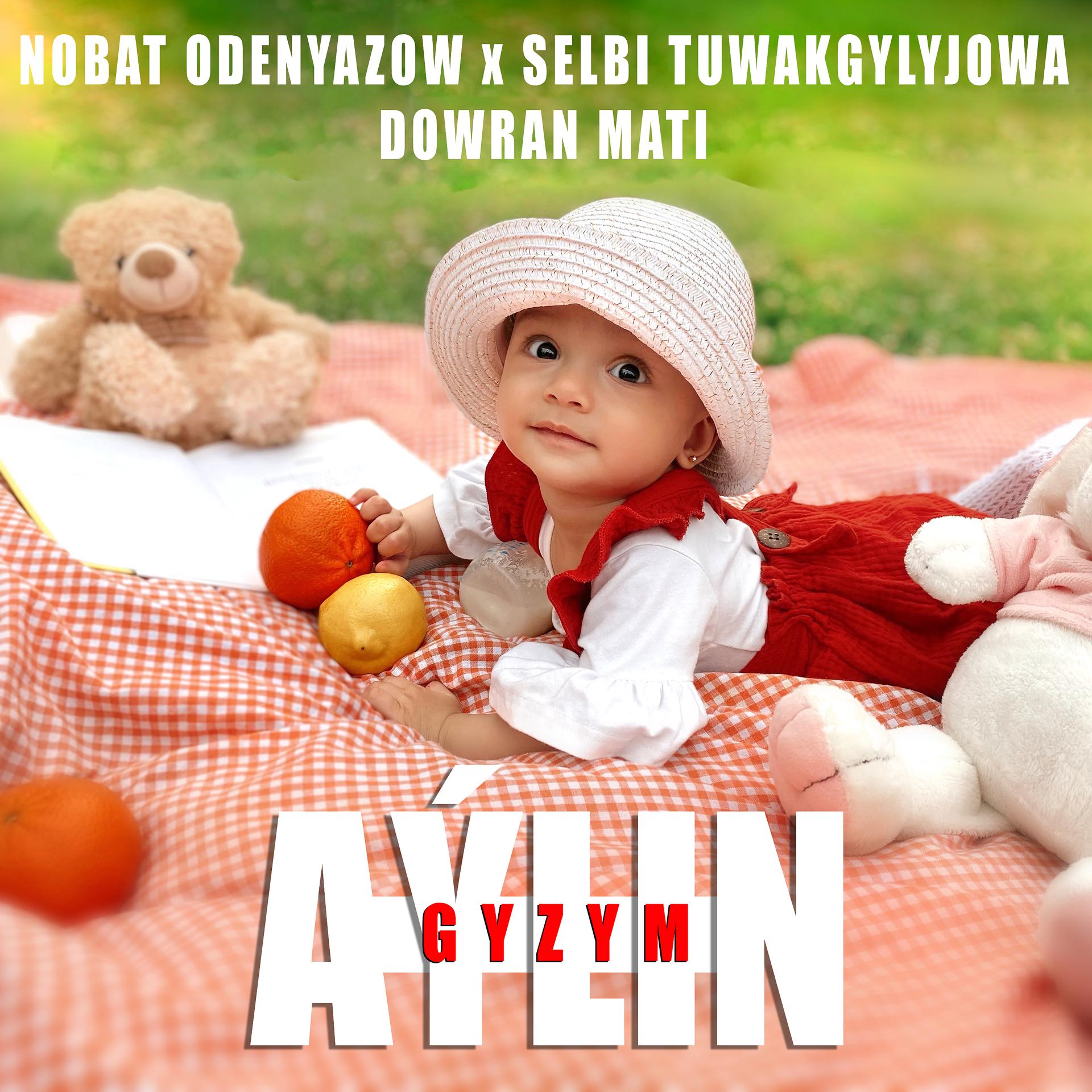 Постер альбома Aylin gyzym