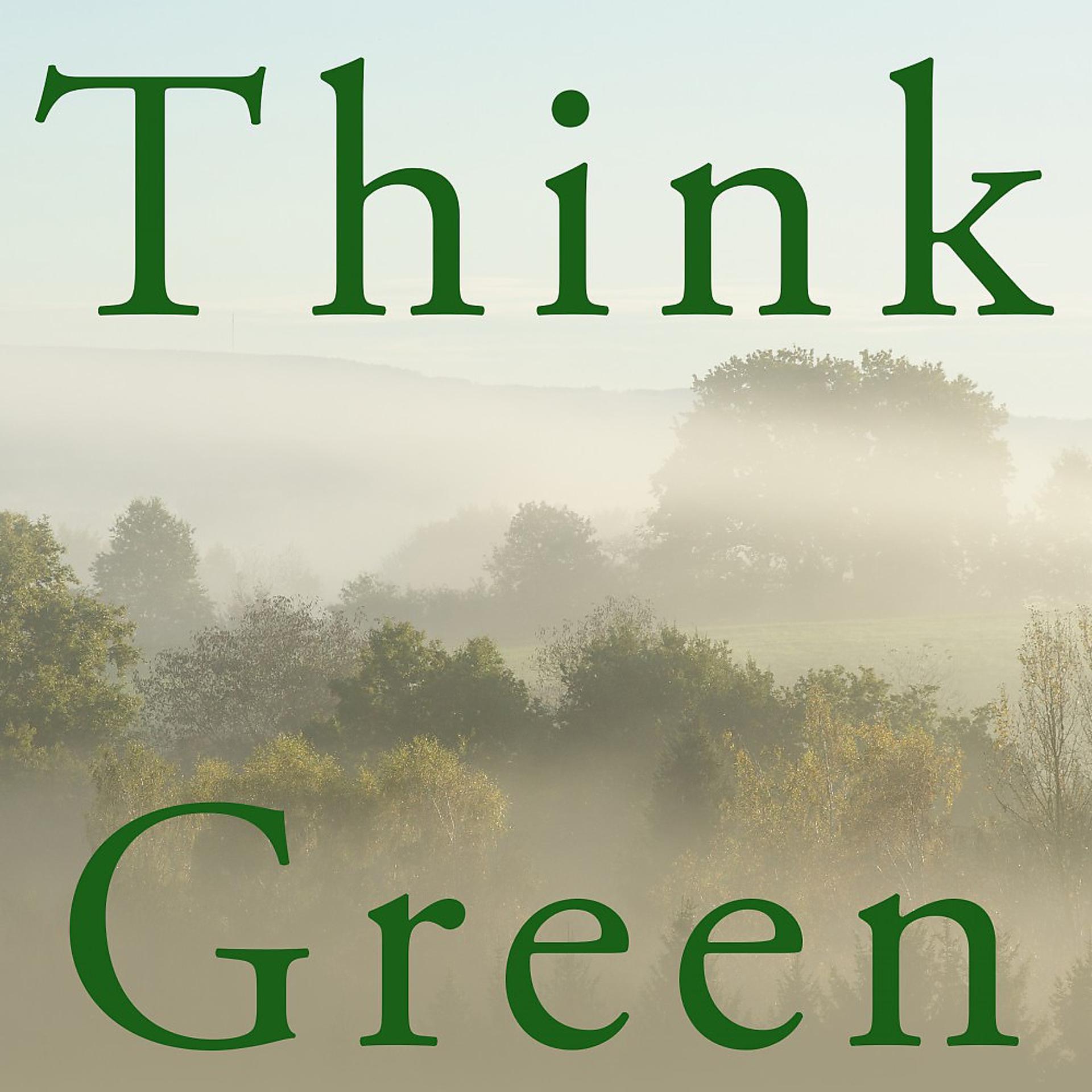 Постер альбома Think Green