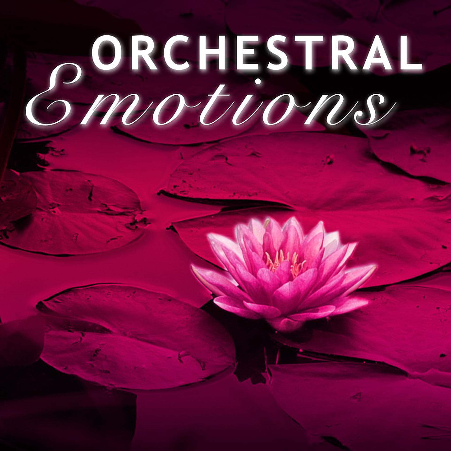 Постер альбома Orchestral Emotions - Aspects of Love