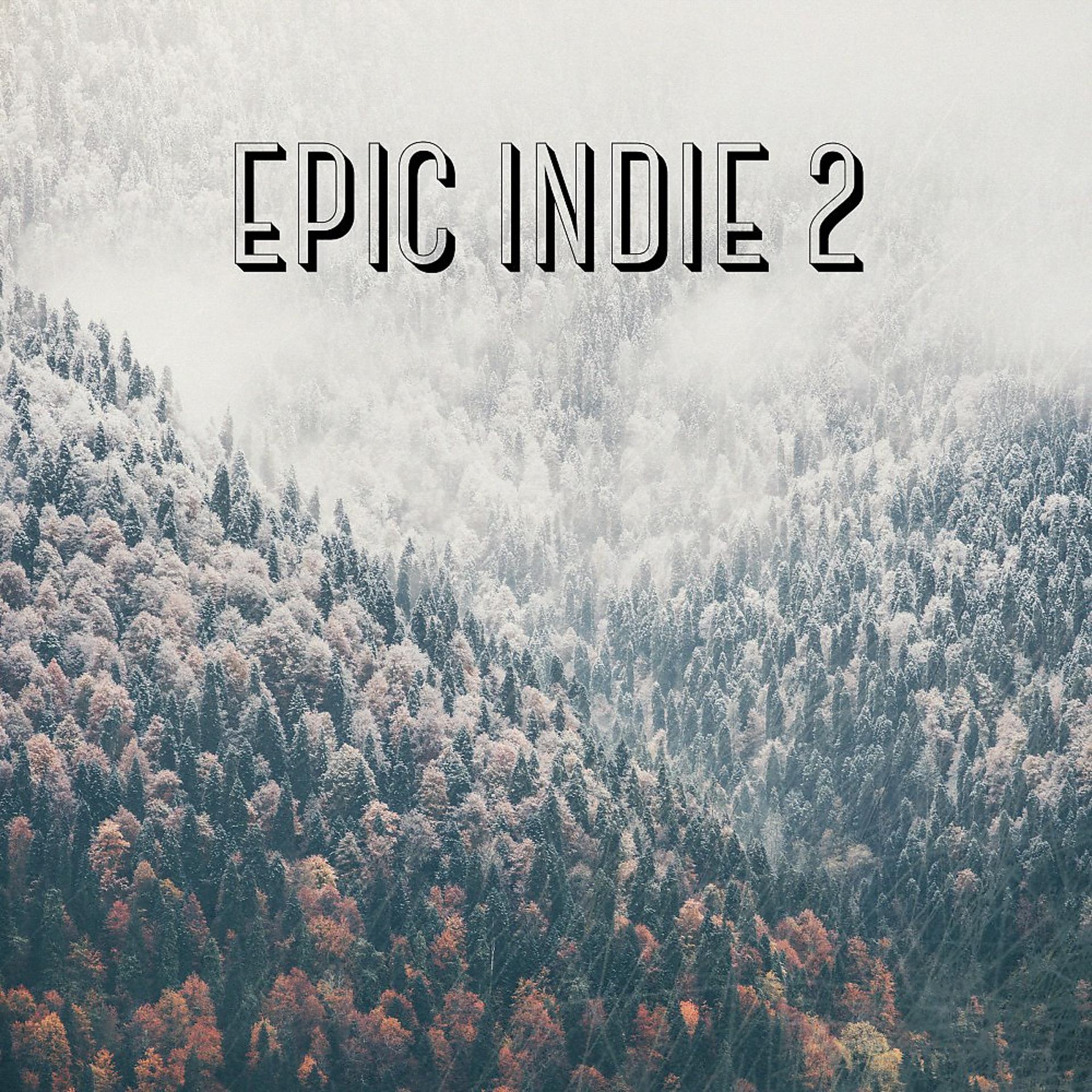 Постер альбома Epic Indie, Vol. 2