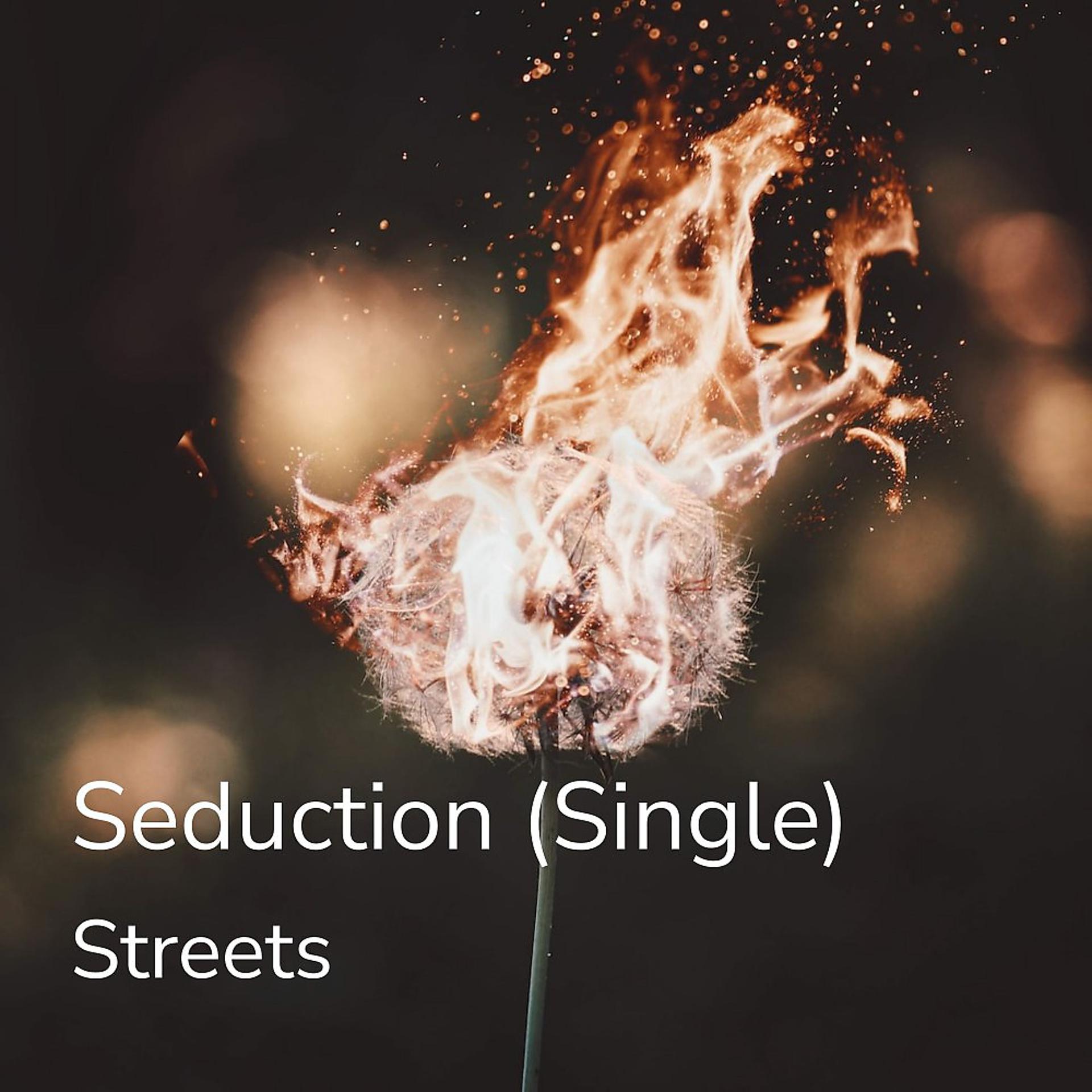 Постер альбома Seduction (Single)
