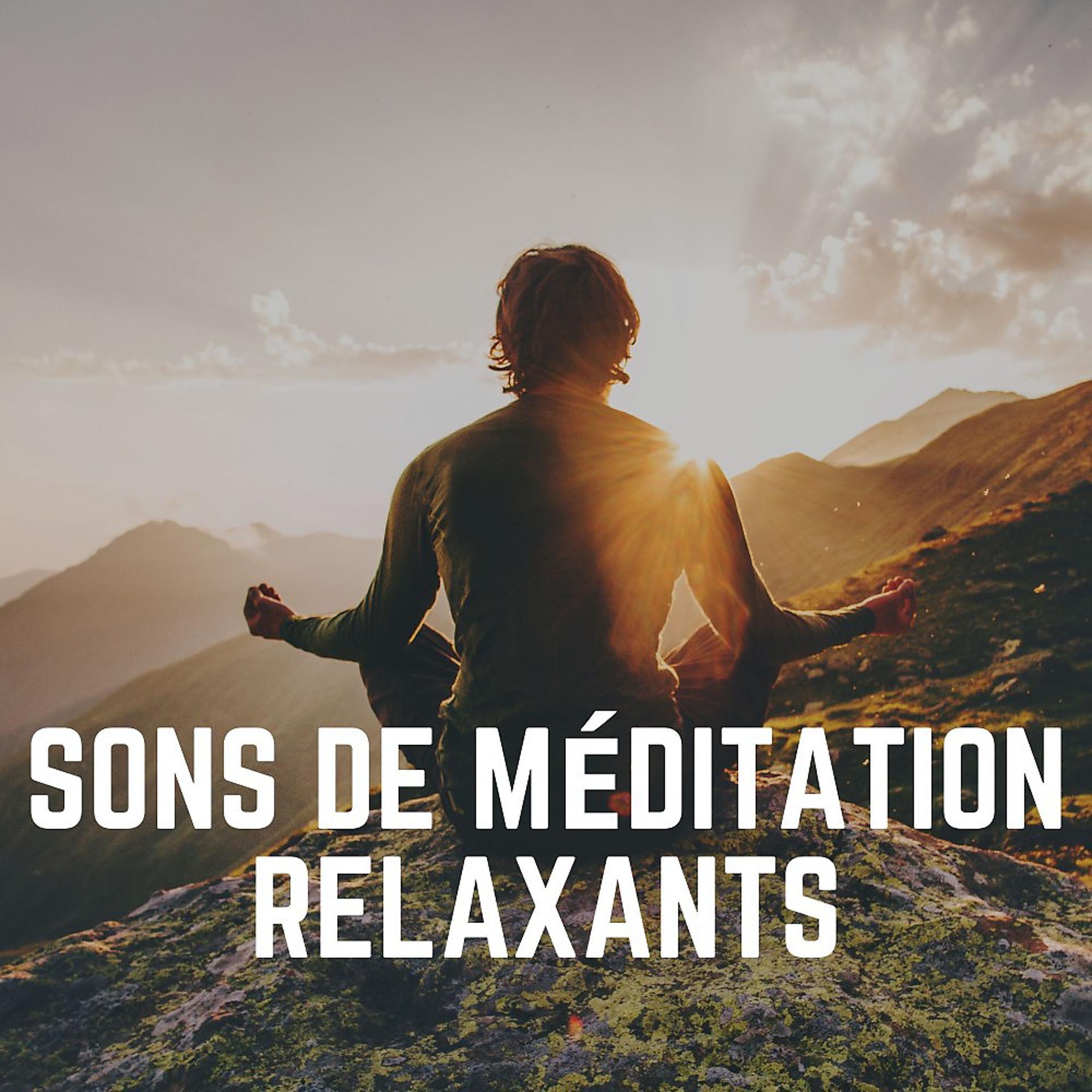 Постер альбома Sons de Méditation Relaxants
