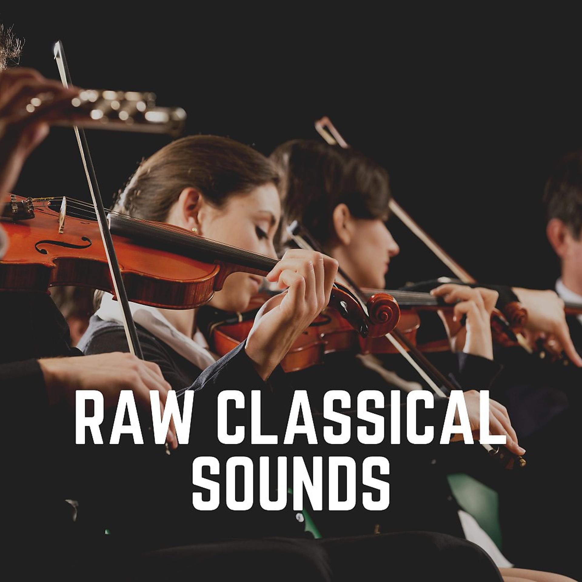 Постер альбома Raw Classical Sounds