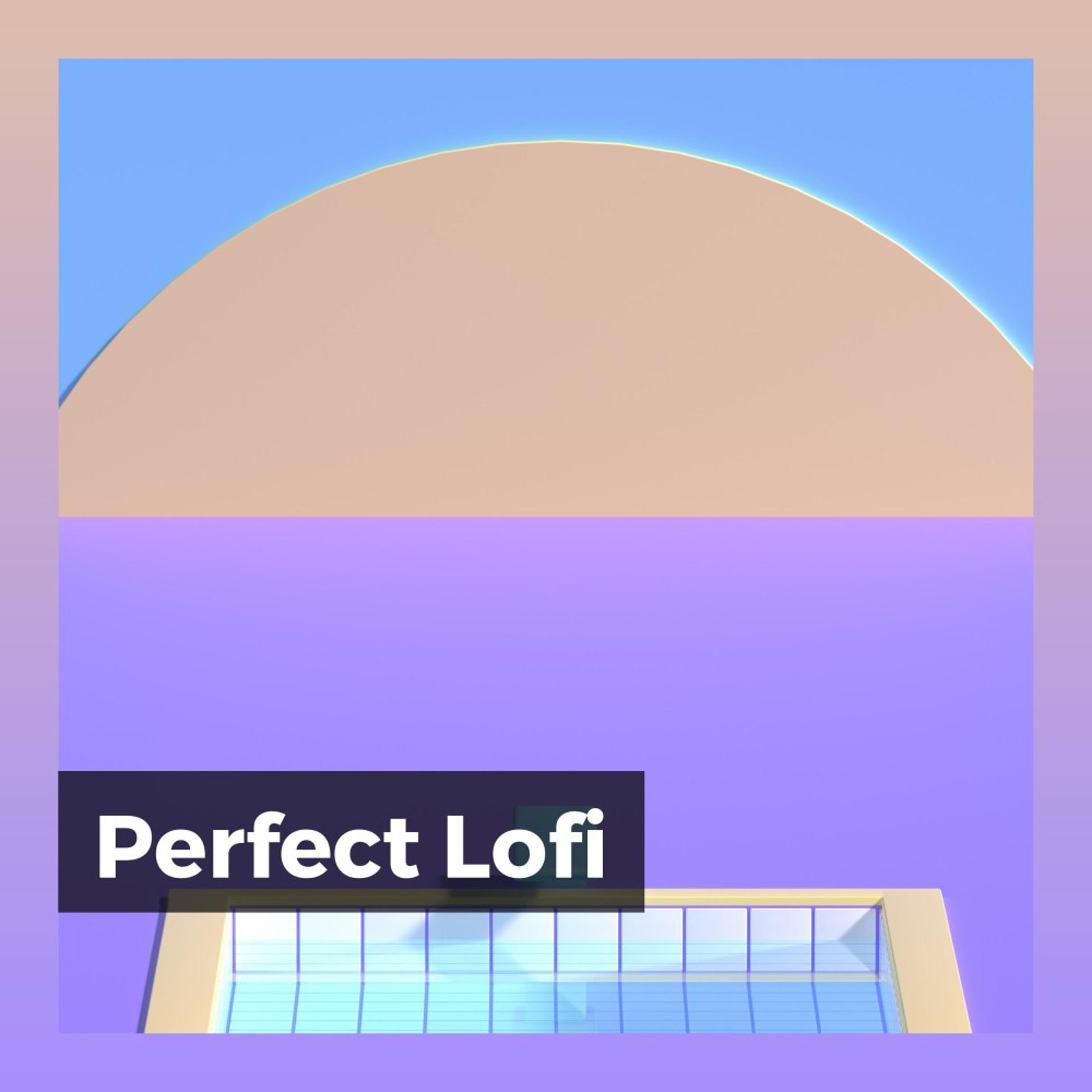 Постер альбома Perfect Lofi