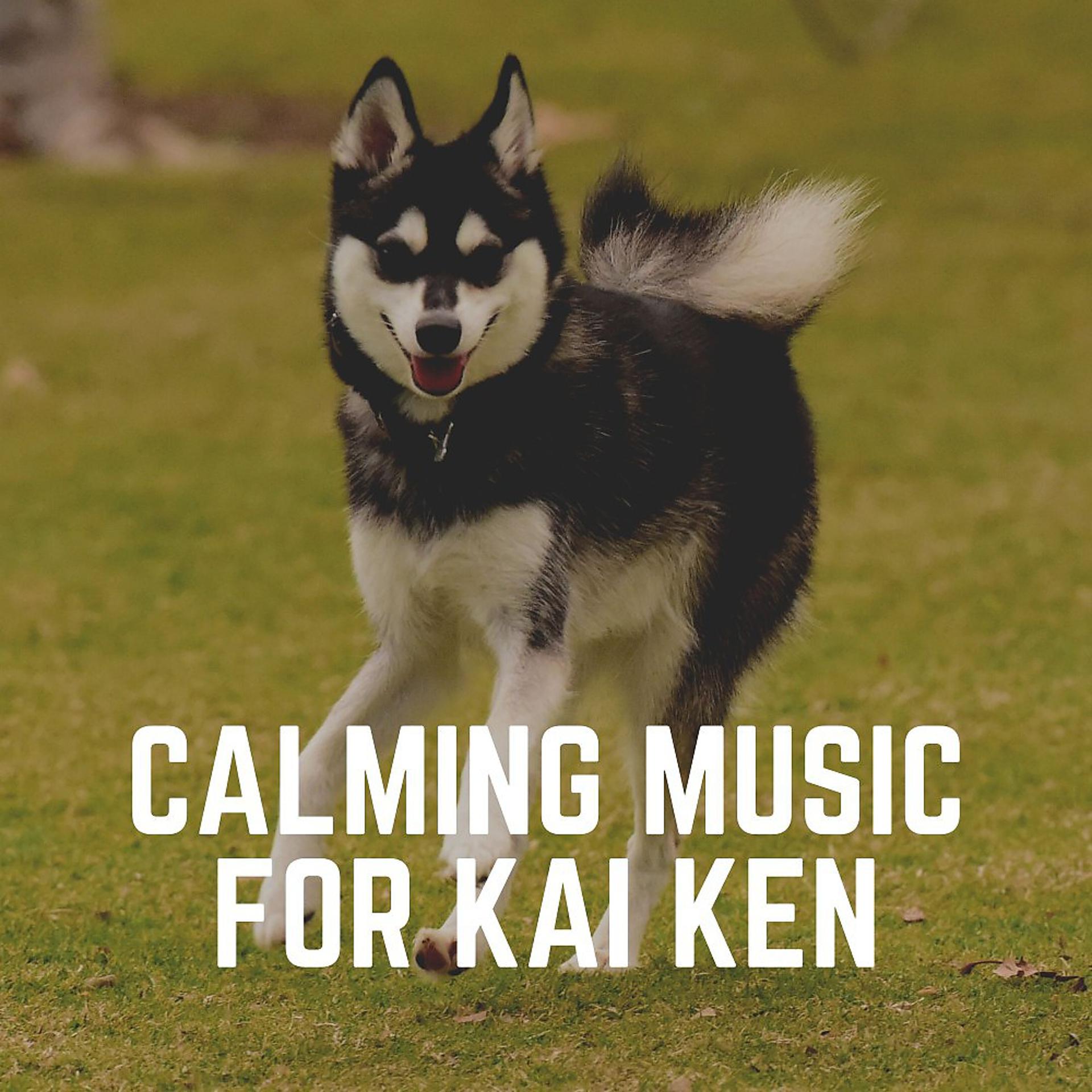 Постер альбома Calming Music for Kai Ken