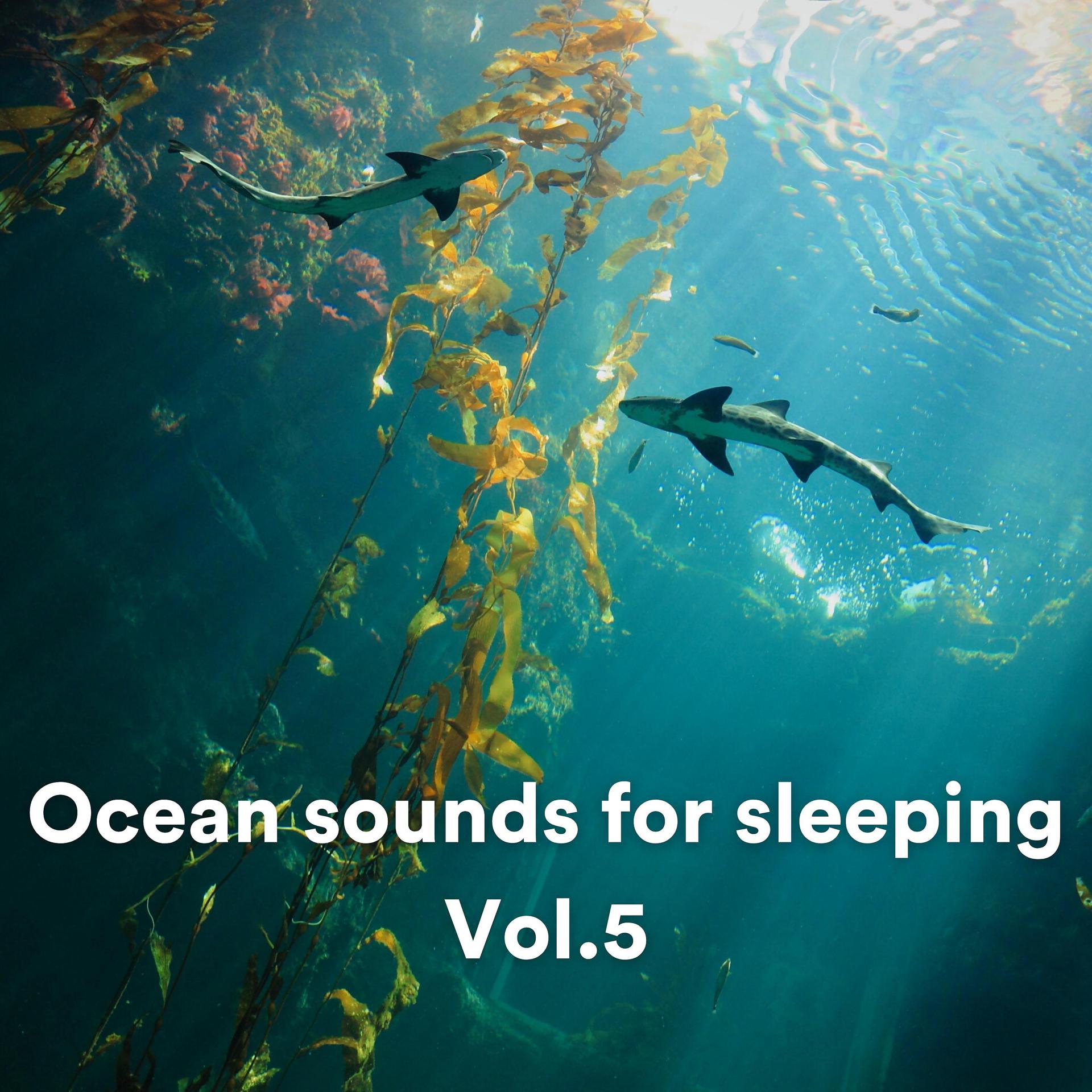 Постер альбома Ocean sounds for sleeping, Vol. 5