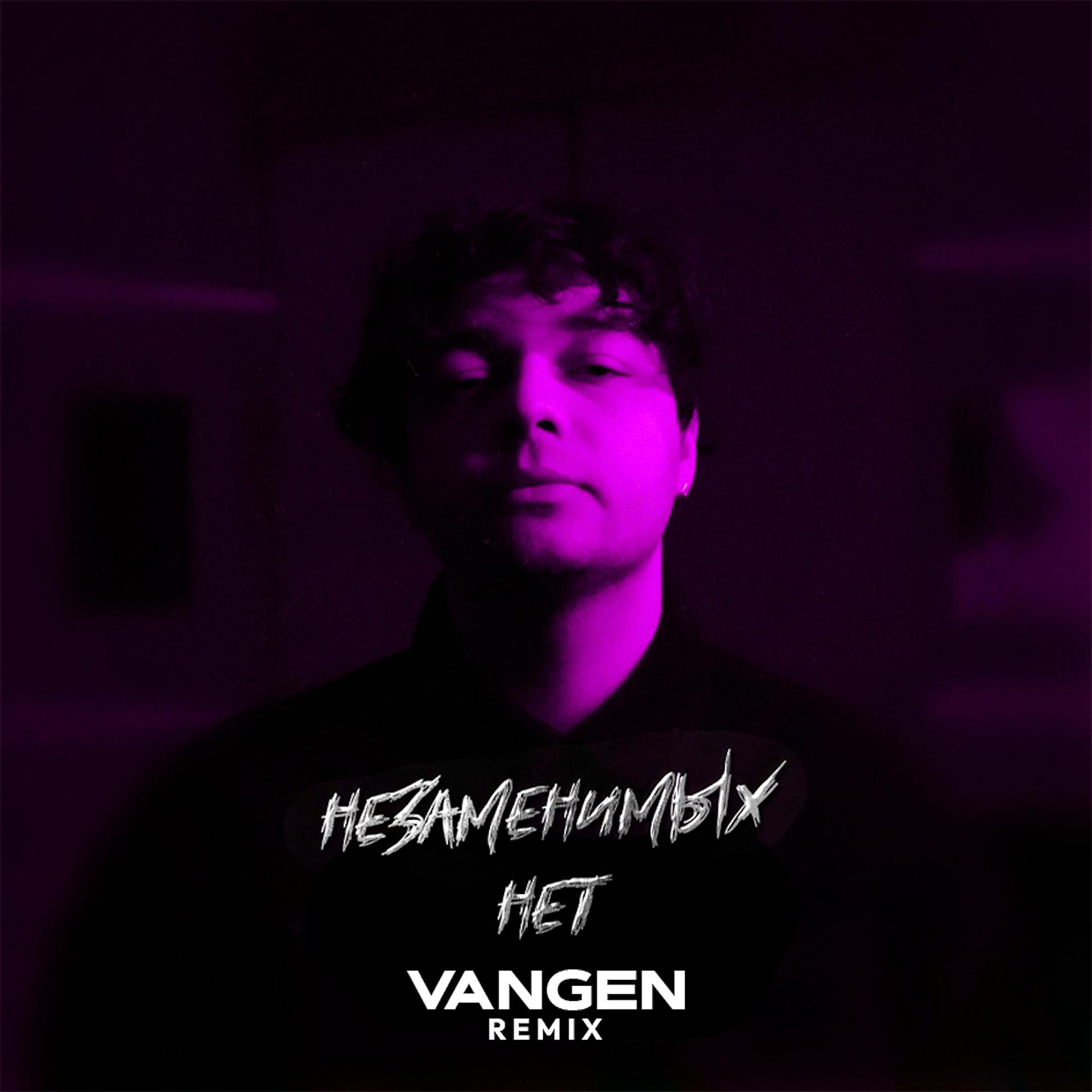 Постер альбома Незаменимых нет (Vangen Remix)