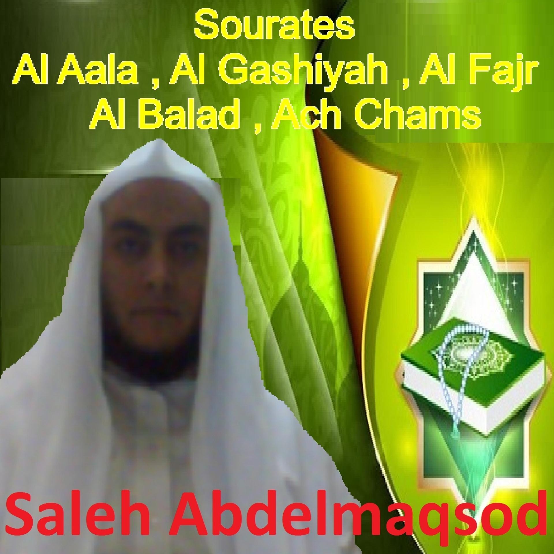 Постер альбома Sourates Al Aala, Al Gashiyah, Al Fajr, Al Balad, Ach Chams