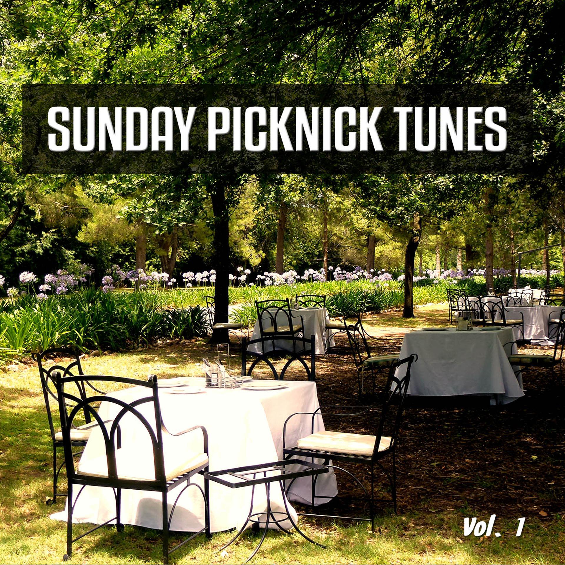 Постер альбома Sunday Picknick Tunes, Vol. 1