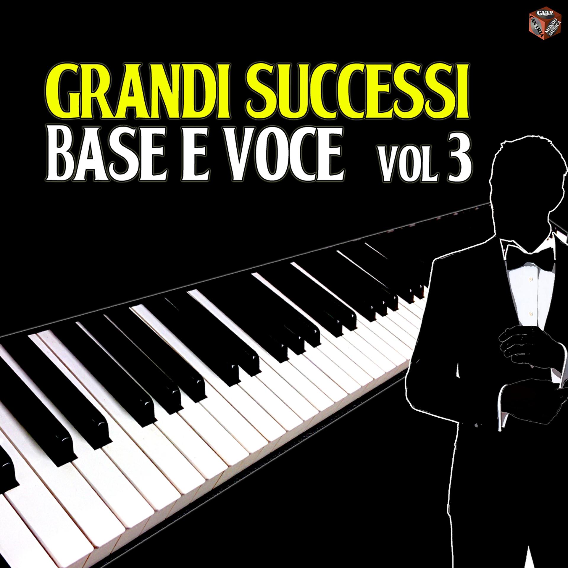 Постер альбома Grandi successi, Vol. 3