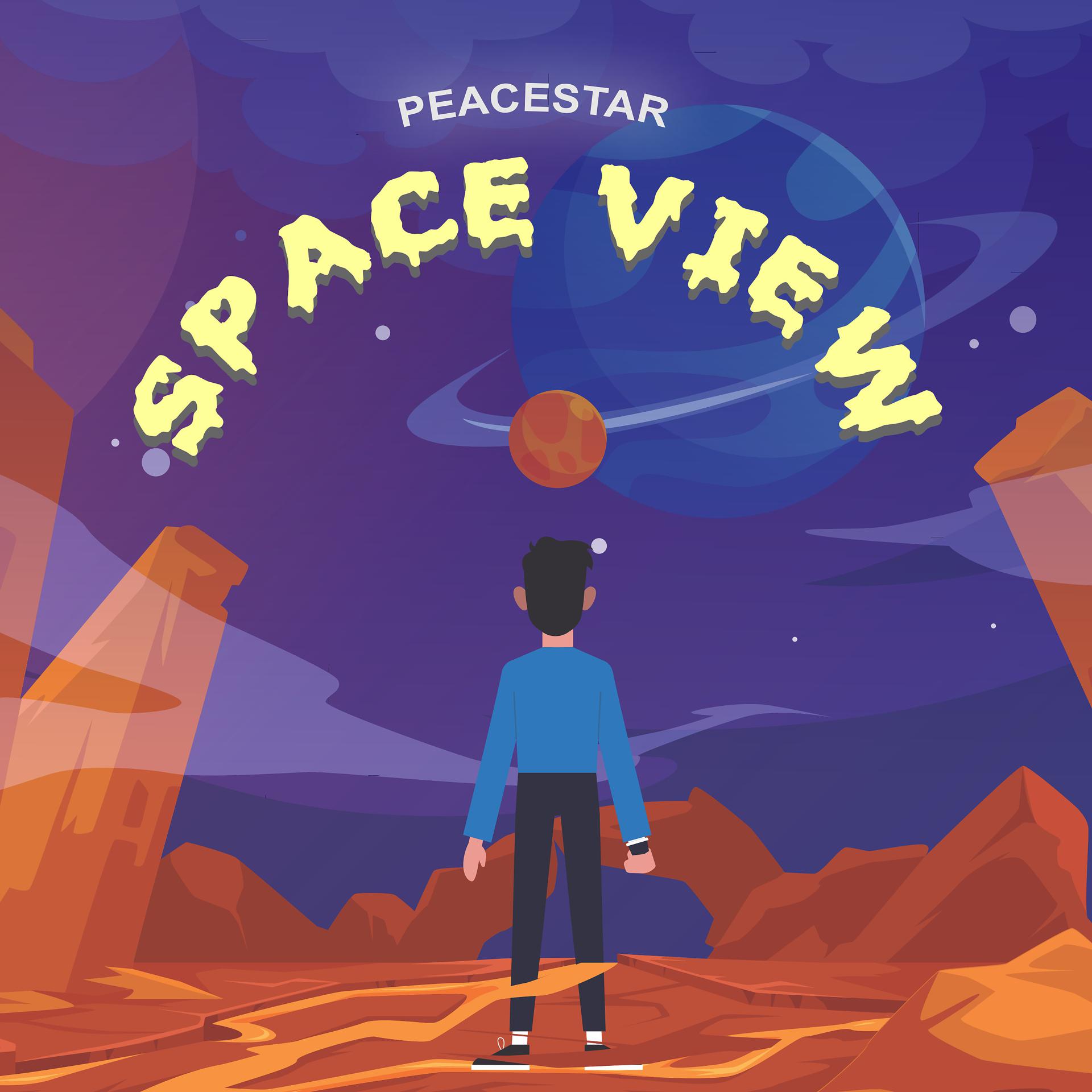 Постер альбома Space View
