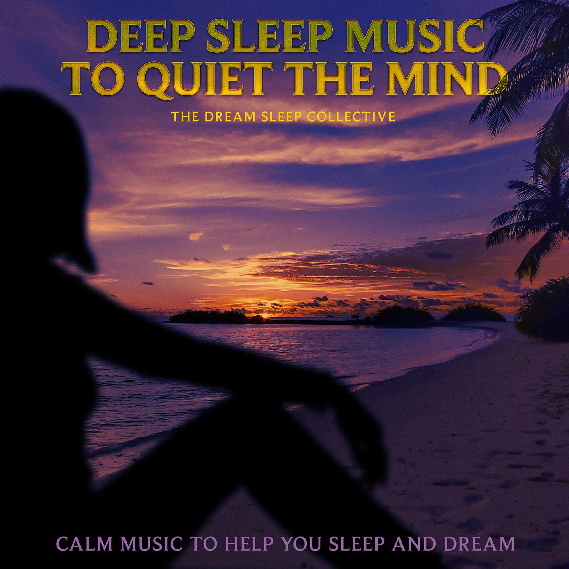Постер альбома Deep Sleep Music to Quiet the Mind: Calm Music to Help You Sleep and Dream