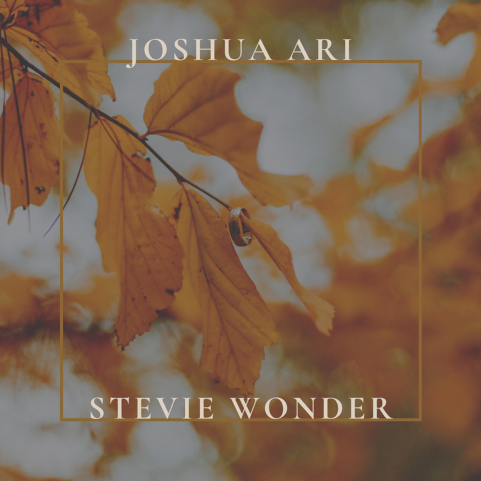 Постер альбома Stevie Wonder