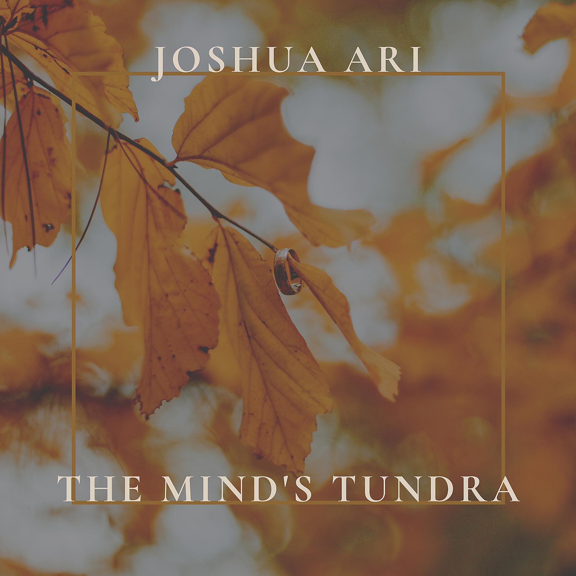 Постер альбома The Mind's Tundra