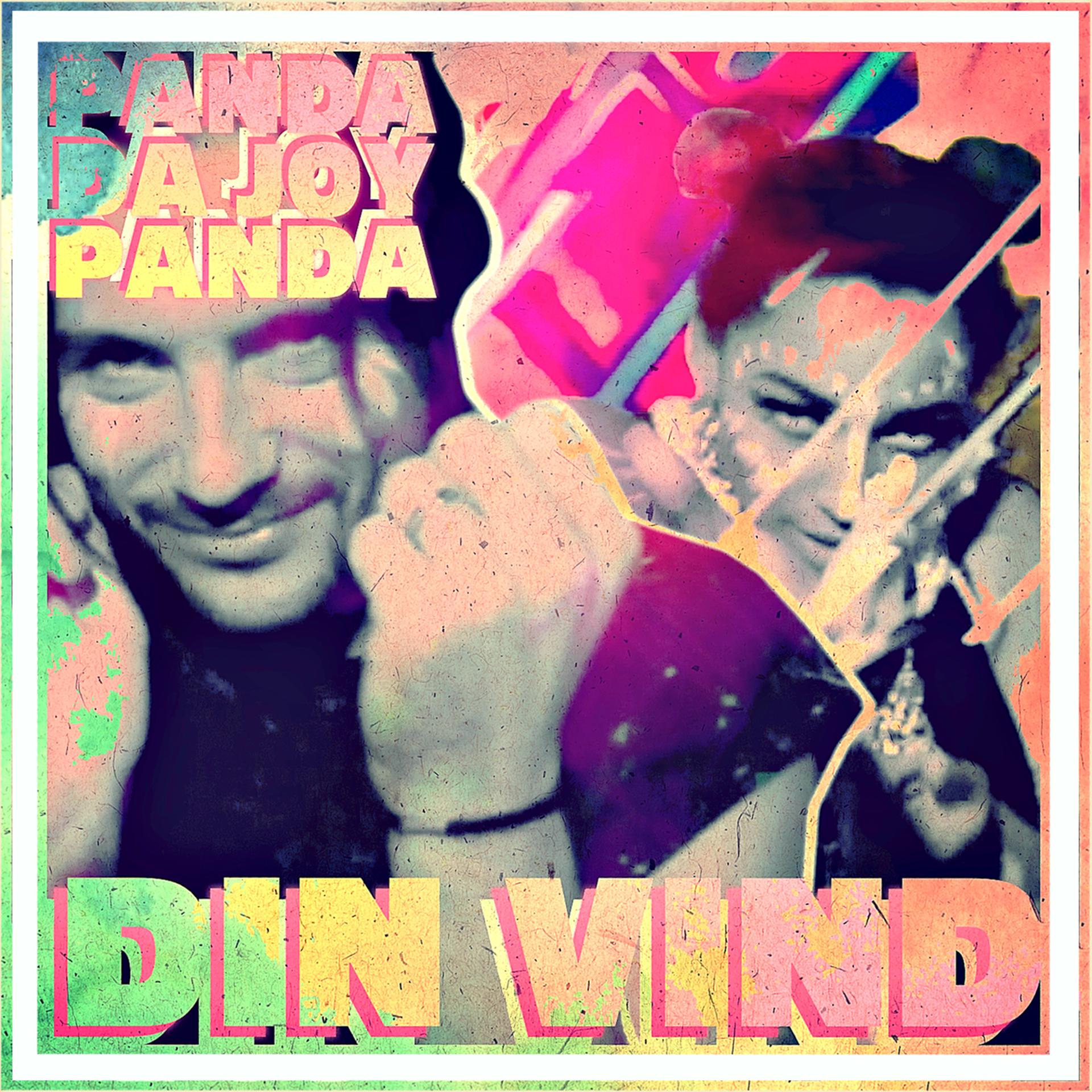 Постер альбома Din vind