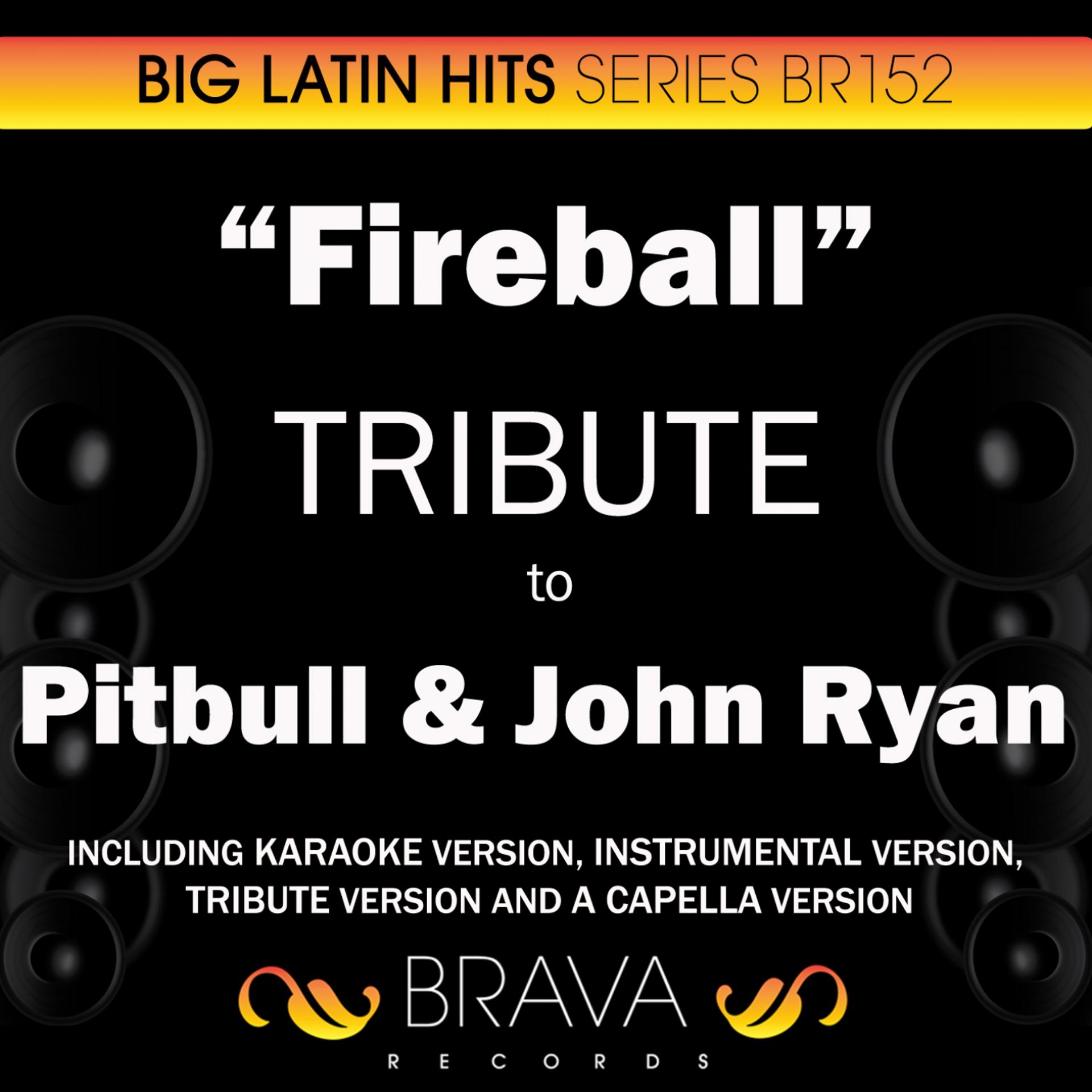 Постер альбома Fireball - Tribute To Pitbull & John Ryan - Ep
