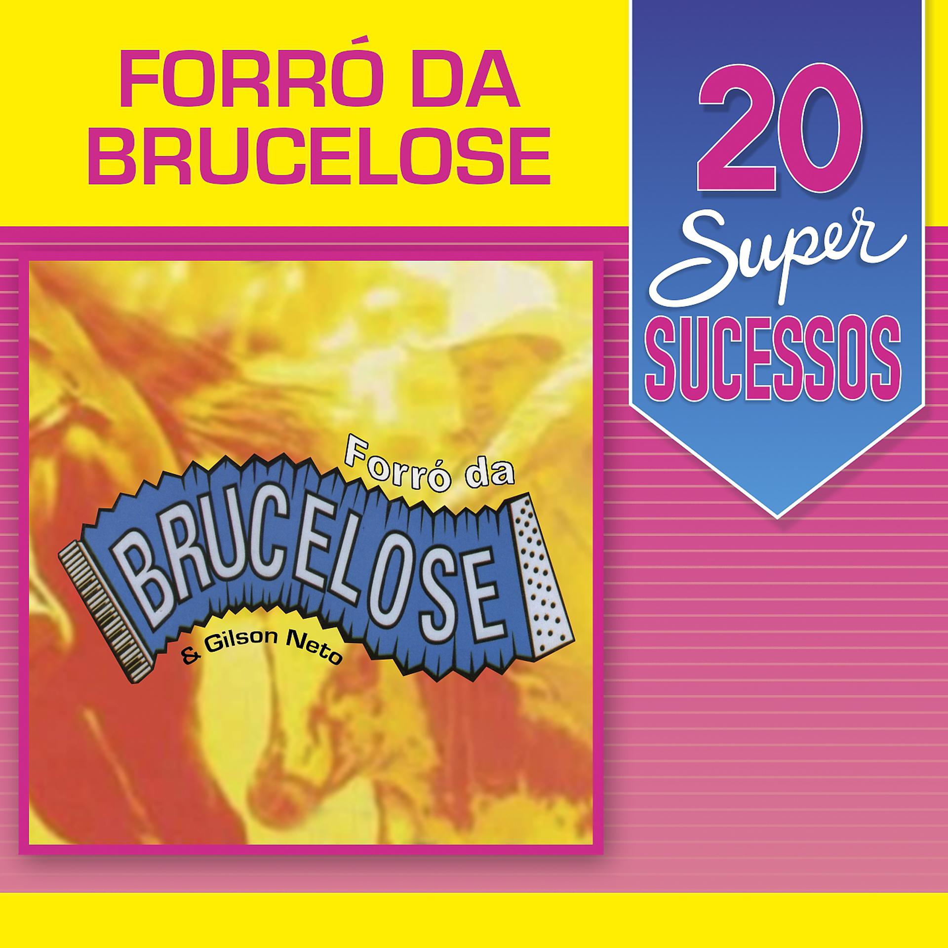 Постер альбома 20 Super Sucessos: Brucelose & Gilson Neto