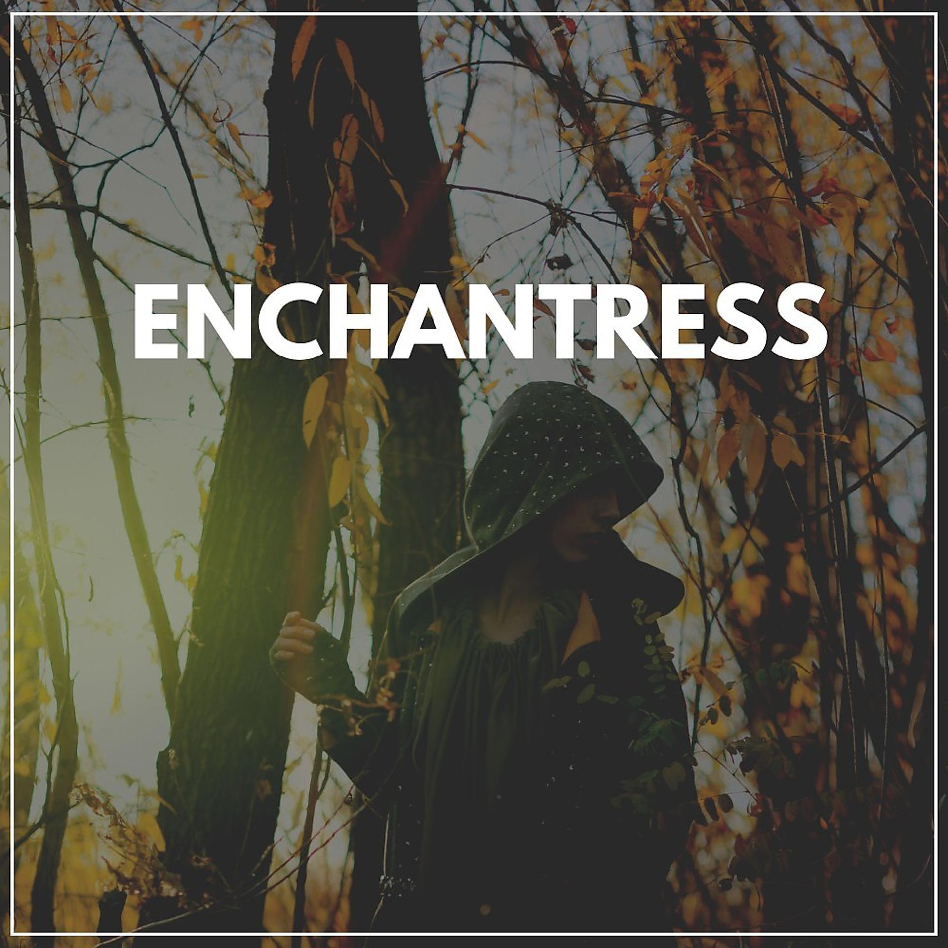 Постер альбома Enchantress