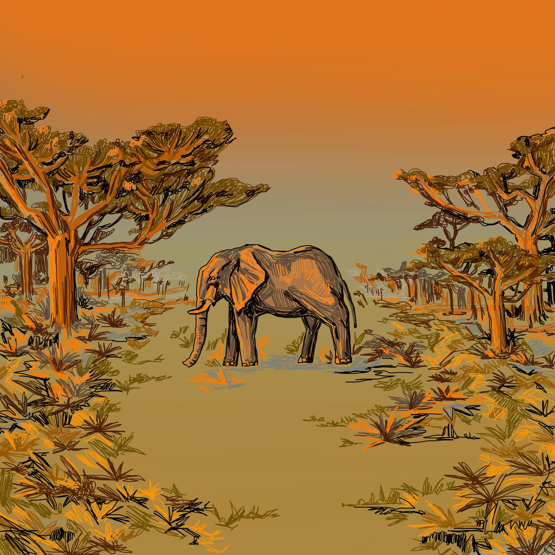 Постер альбома Слоновий лес 1.2