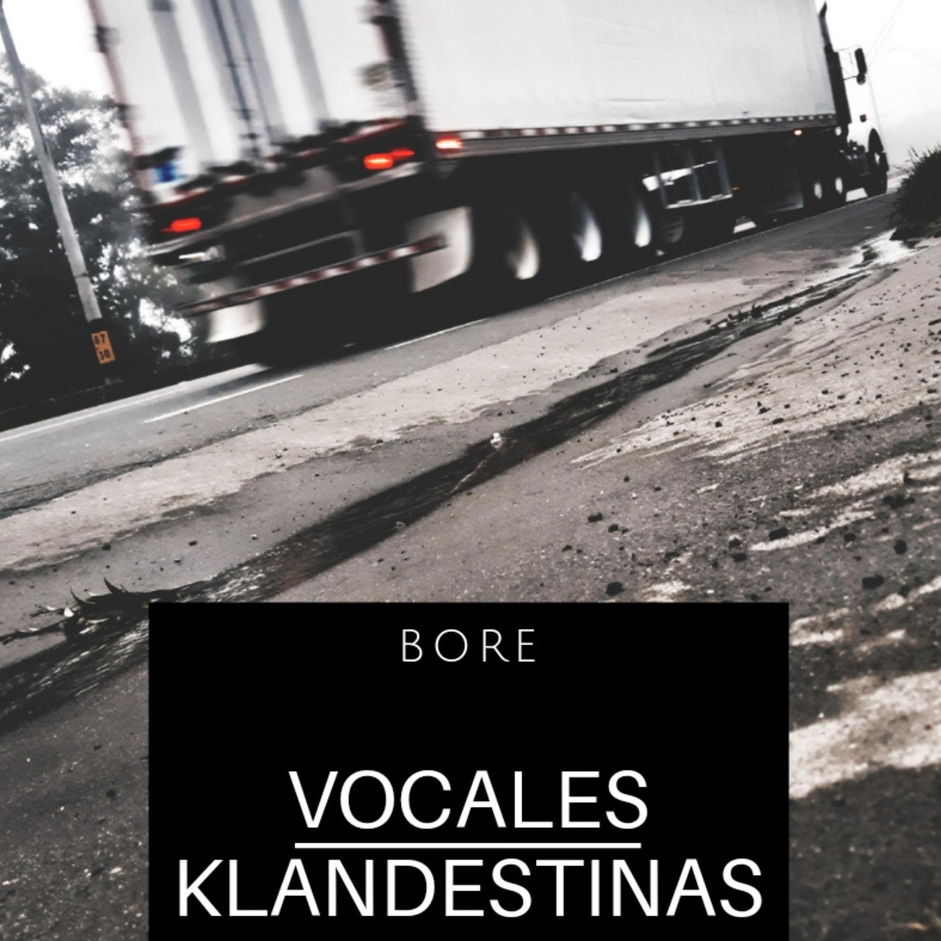 Постер альбома Vocales Klandestinas