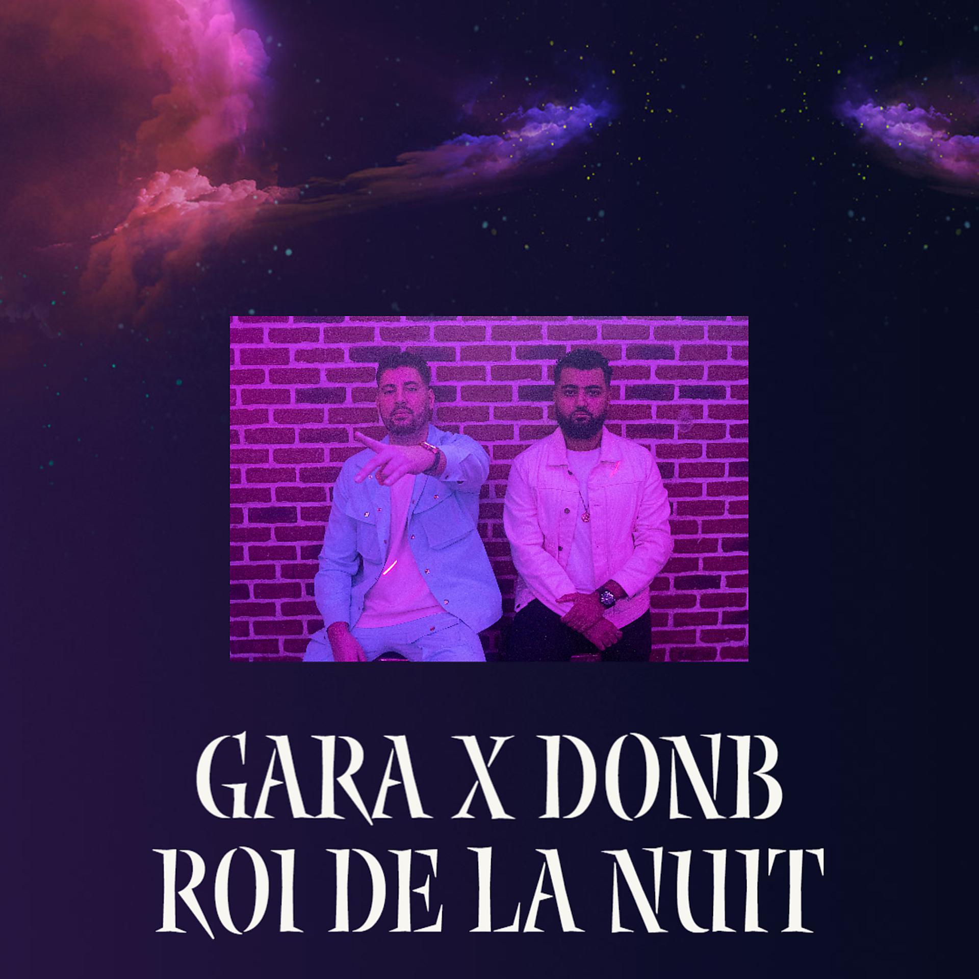 Постер альбома Roi de la nuit