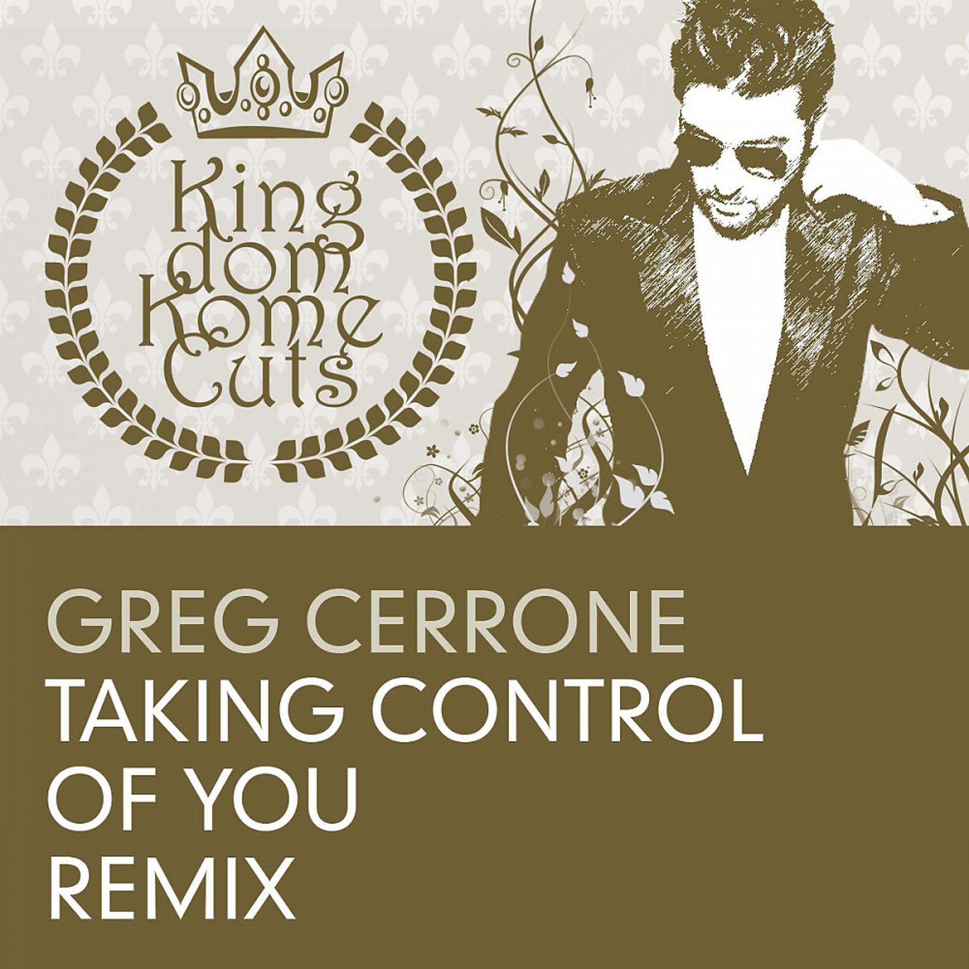 Постер альбома Taking Control of You (Remix)
