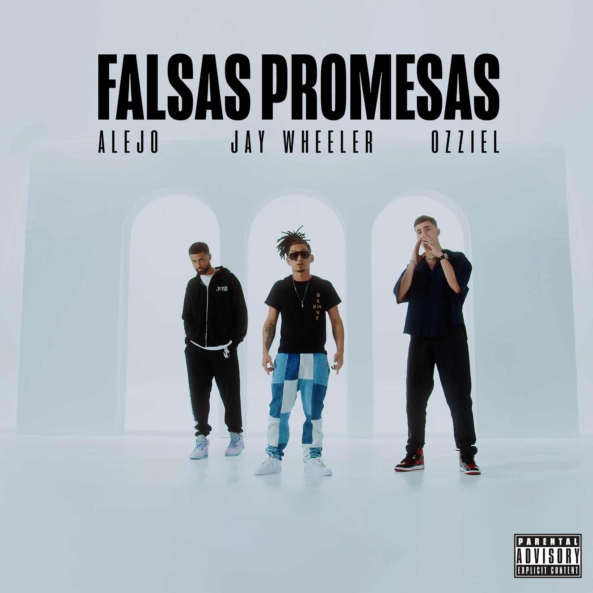 Постер альбома Falsas Promesas