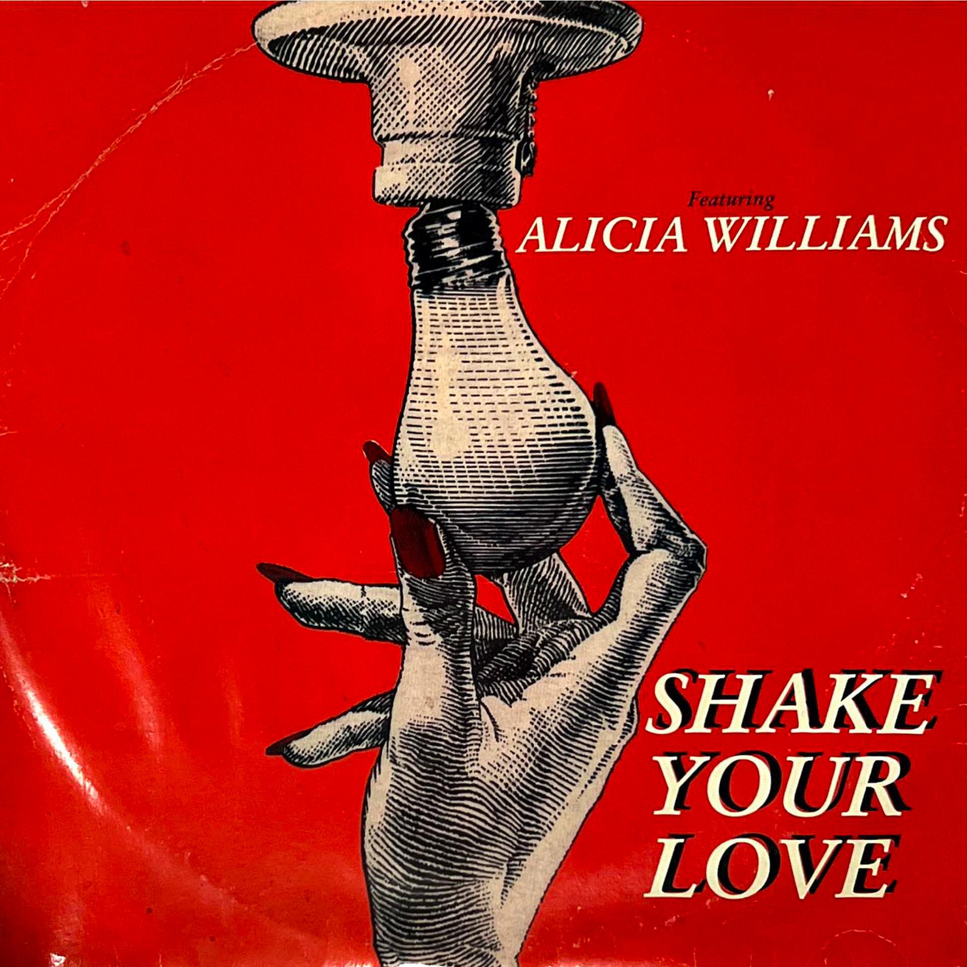 Постер альбома Shake Your Love