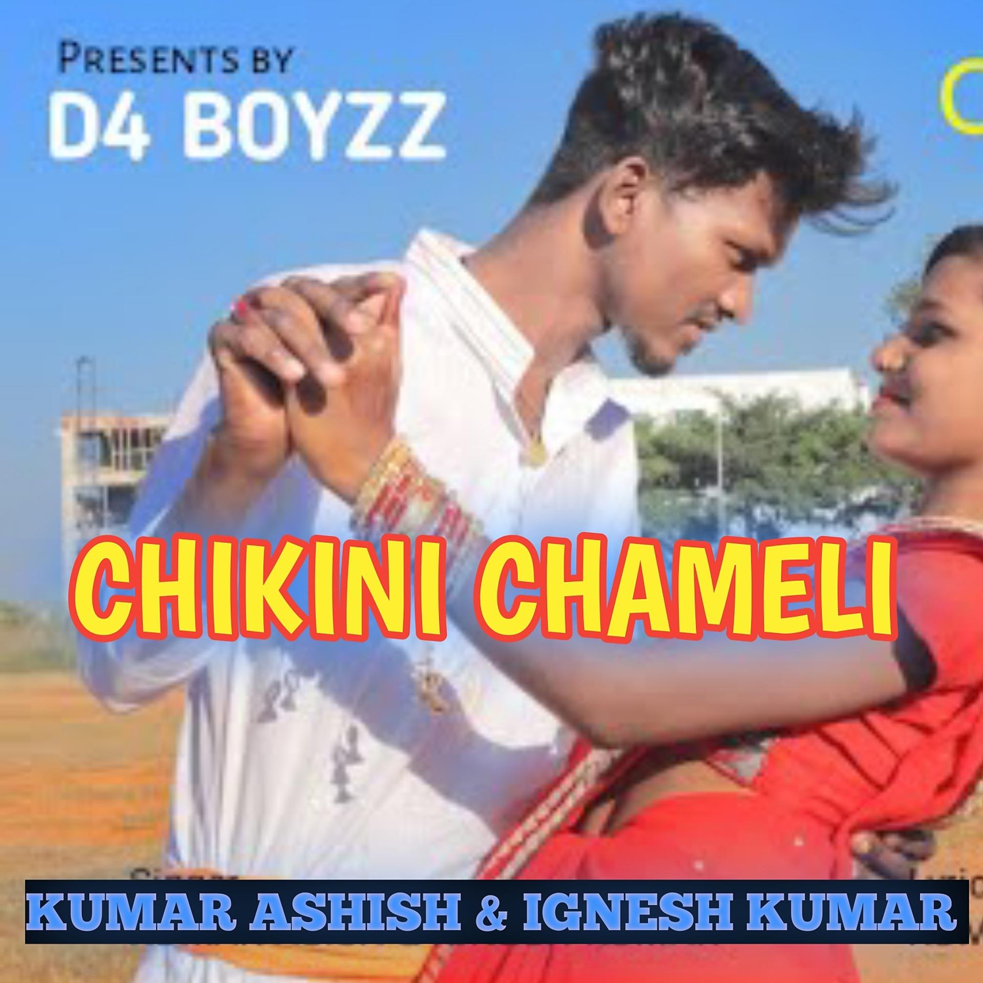 Постер альбома Chikini Chameli