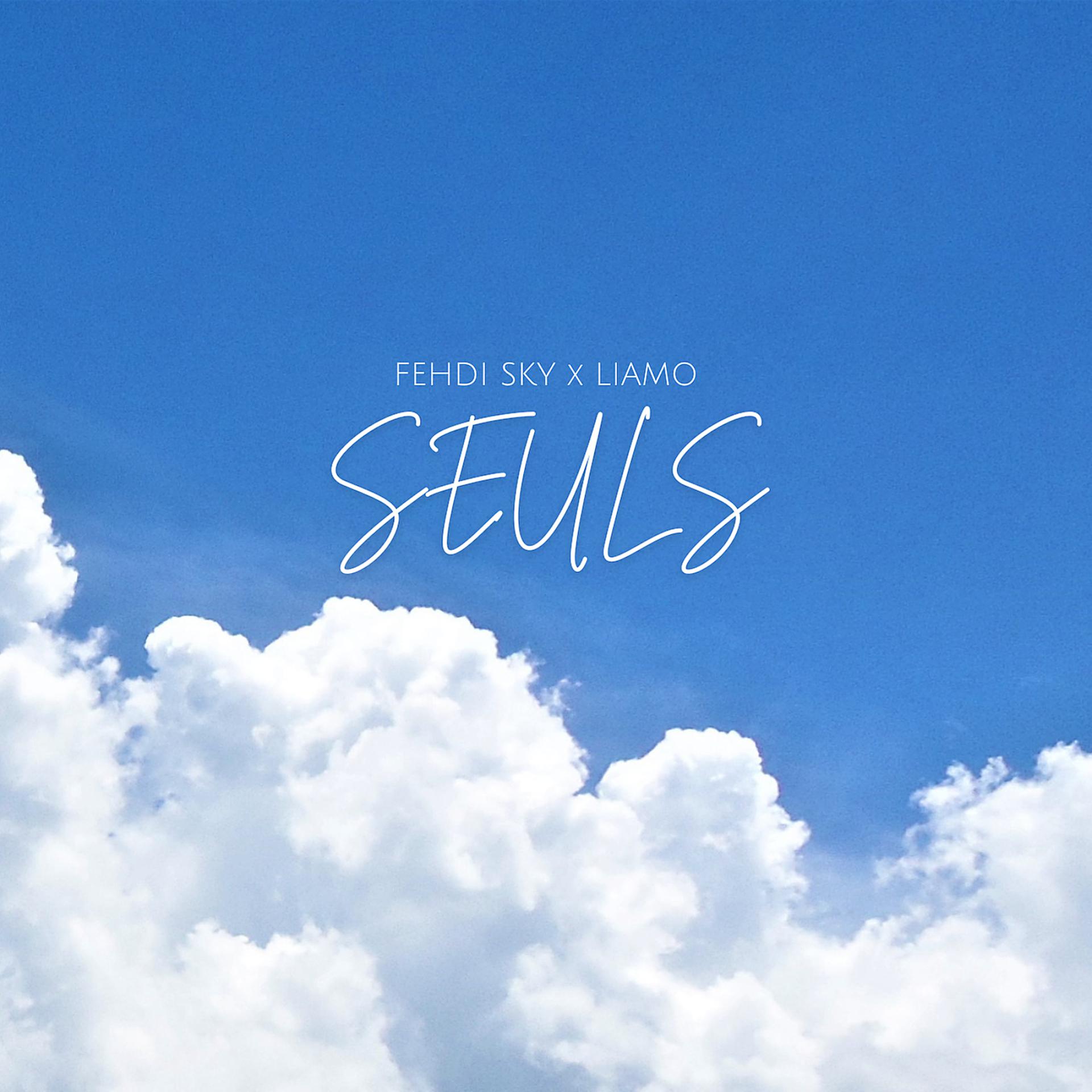 Постер альбома Seuls