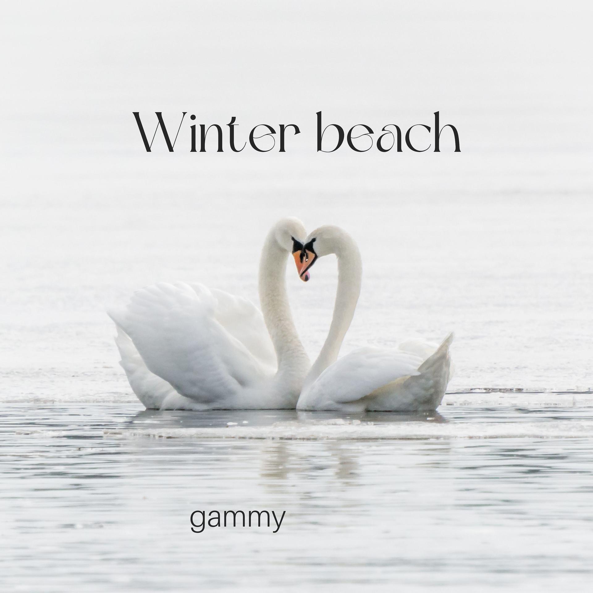 Постер альбома Winter Beach