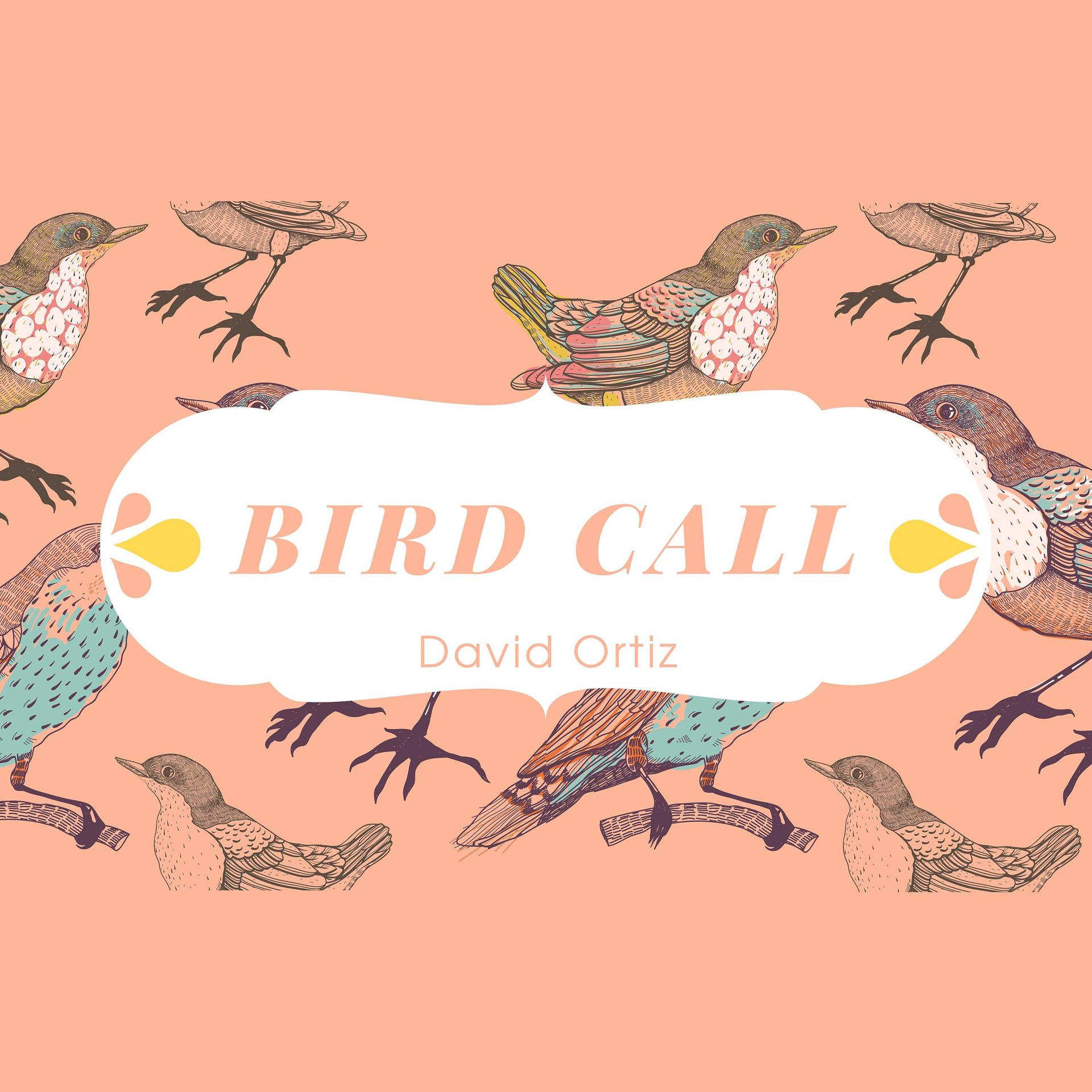 Постер альбома Bird Call