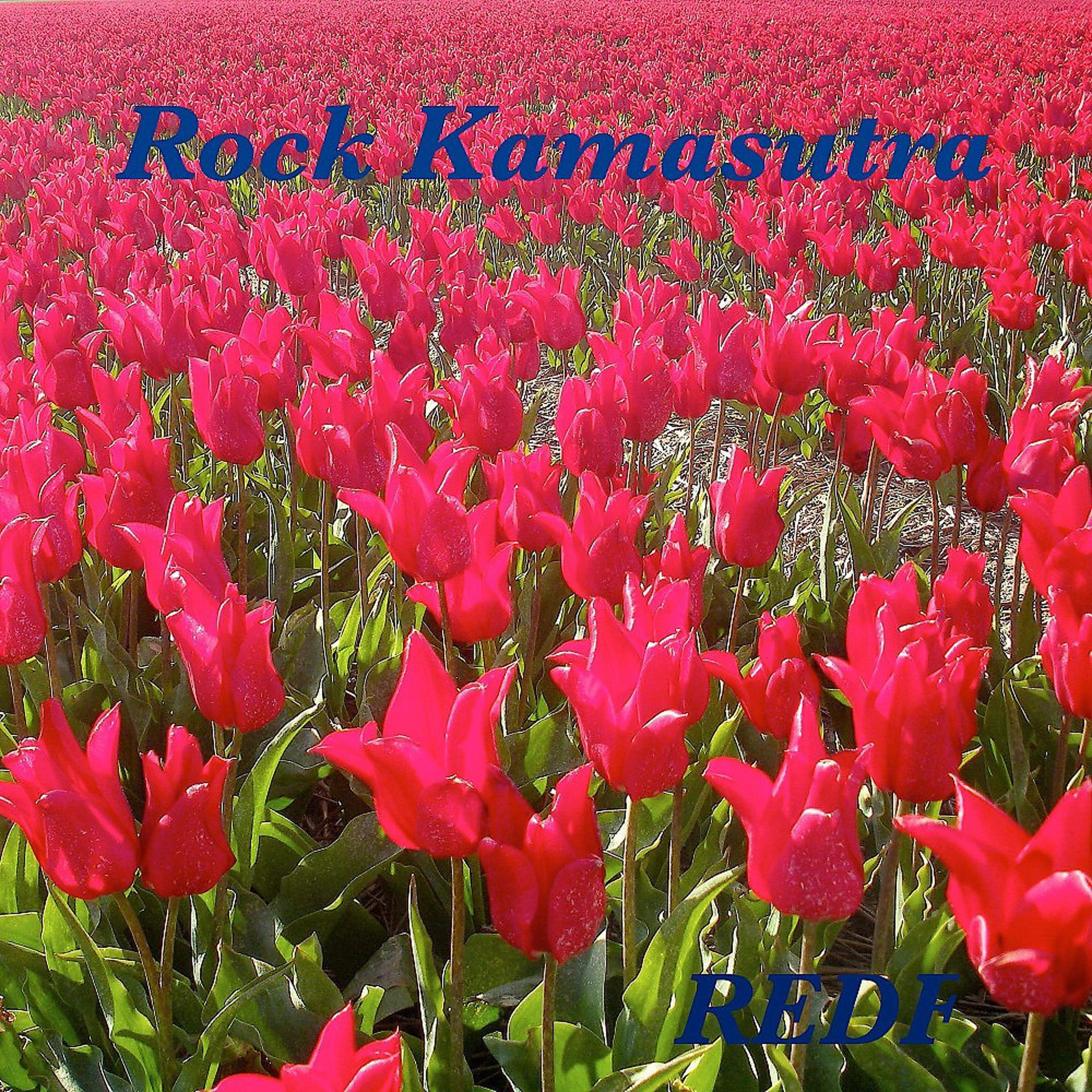 Постер альбома Rock Kamasutra