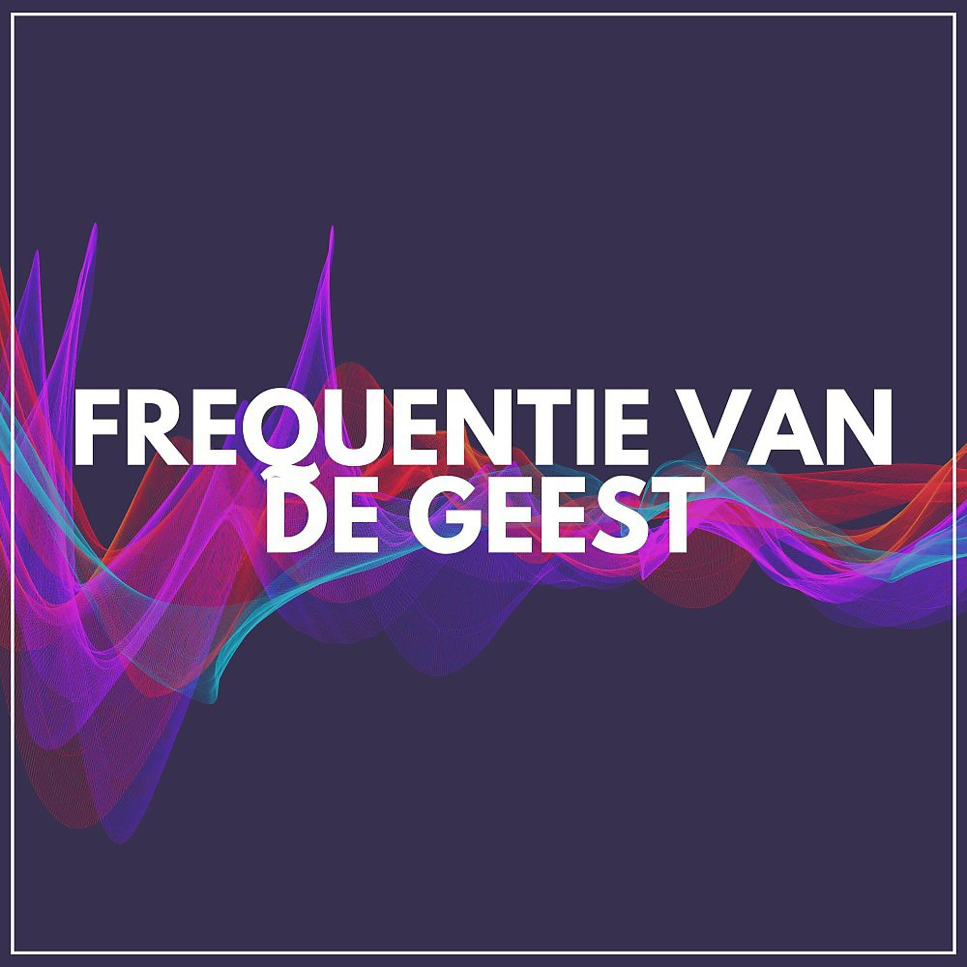 Постер альбома Frequentie Van de Geest