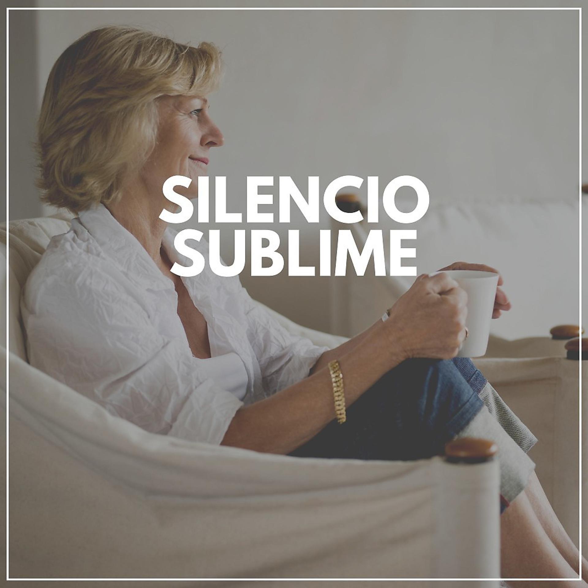 Постер альбома Silencio Sublime