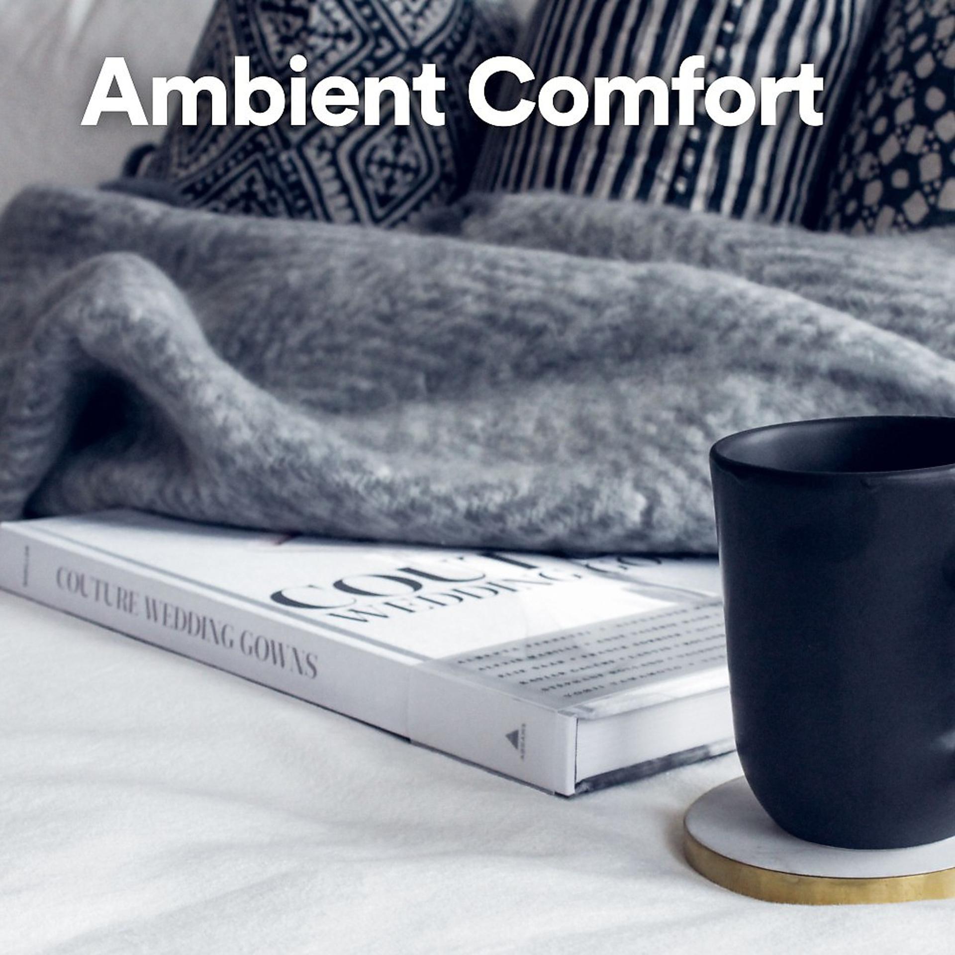 Постер альбома Ambient Comfort