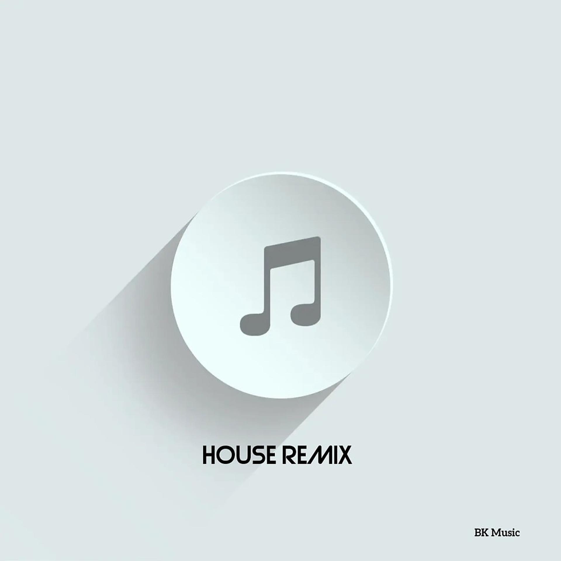 Постер альбома House (Remix)