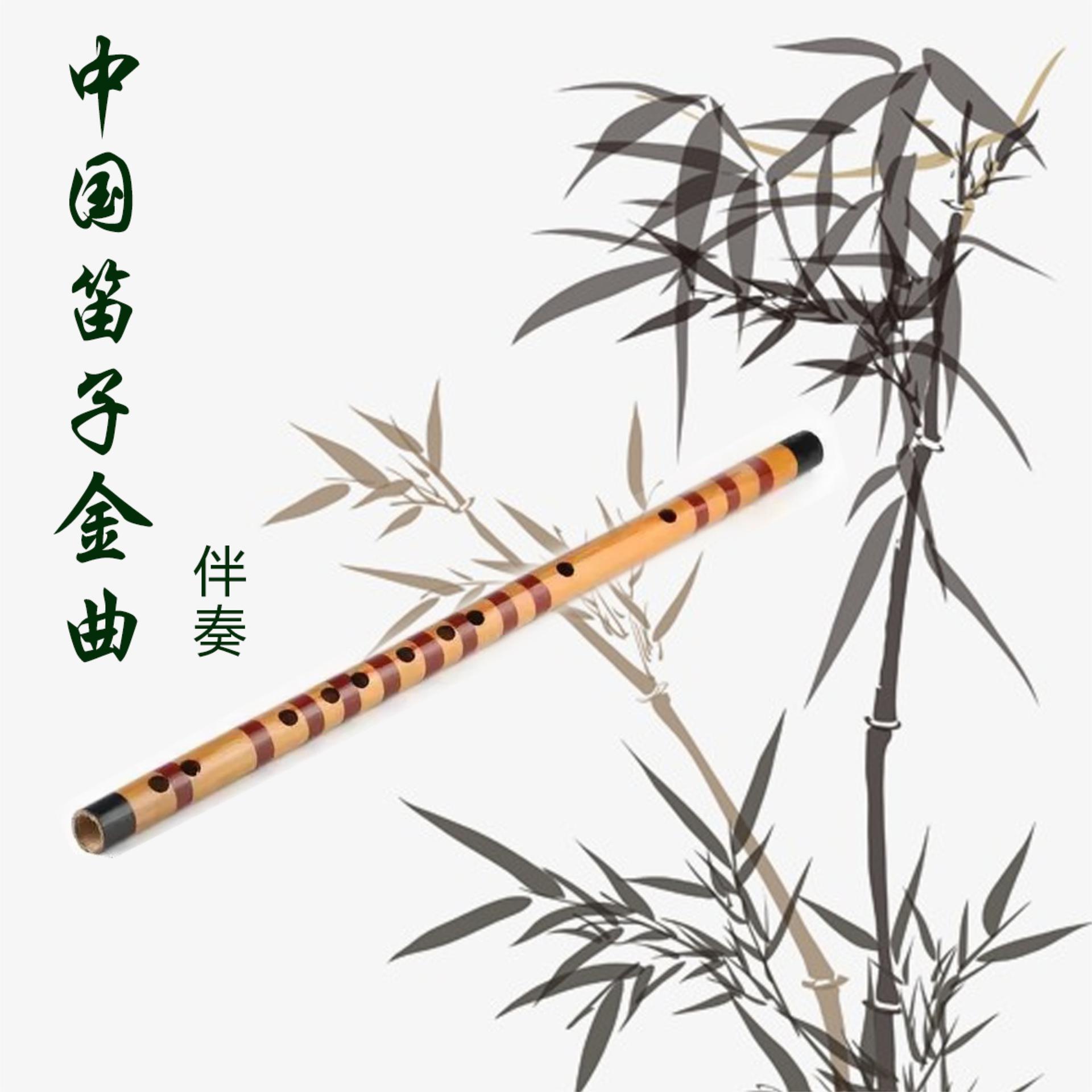 Постер альбома 中国笛子金曲