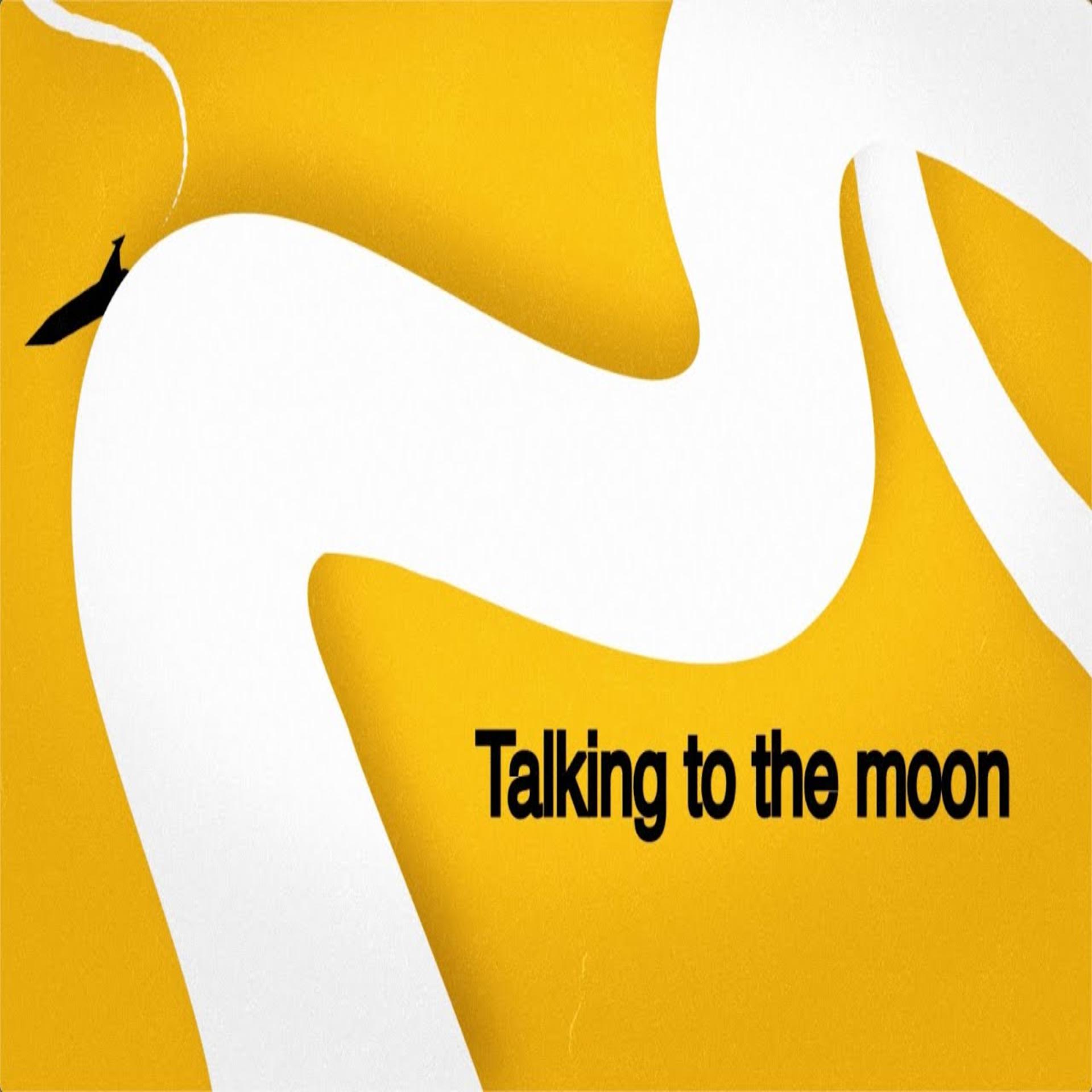Постер альбома Talking to the moon
