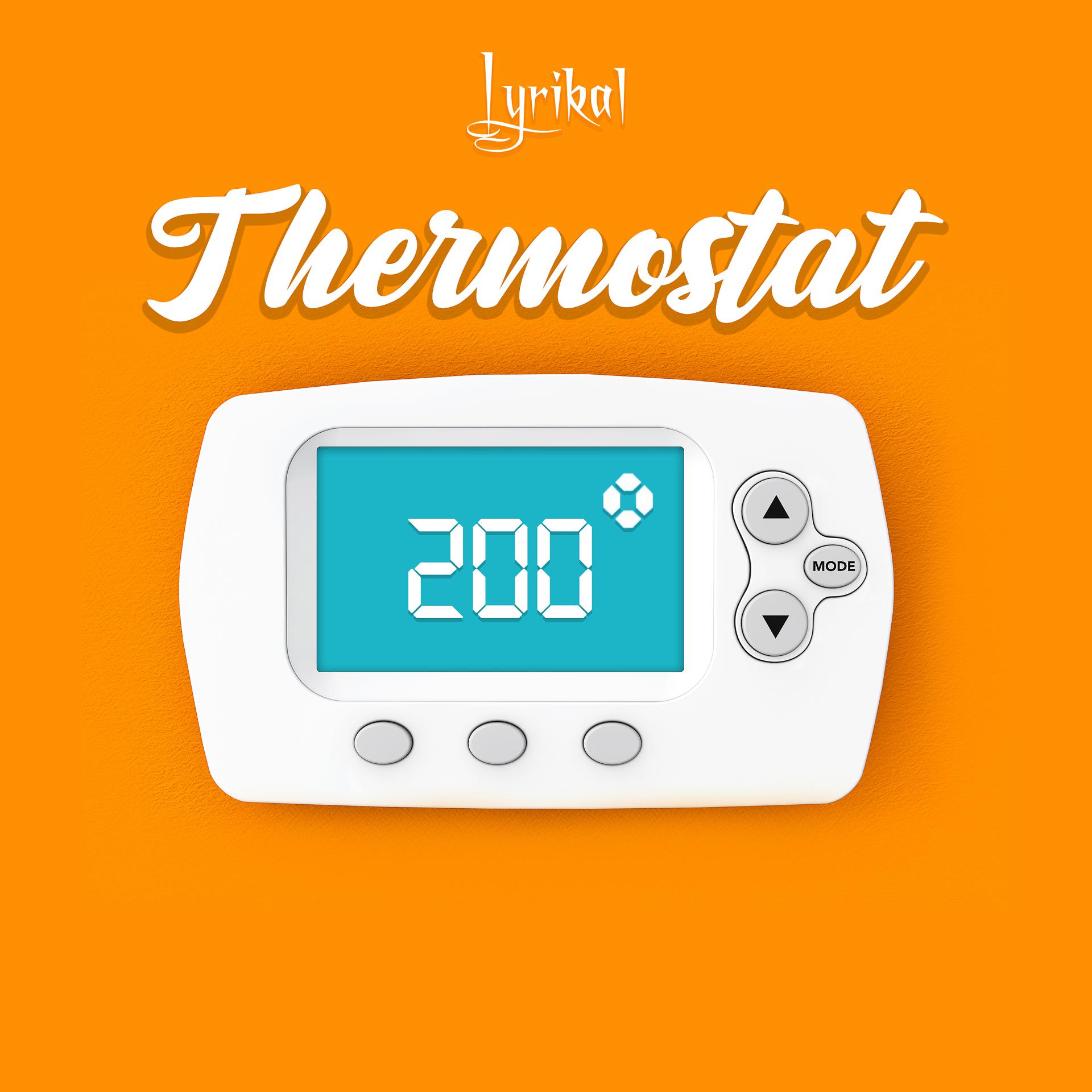 Постер альбома Thermostat
