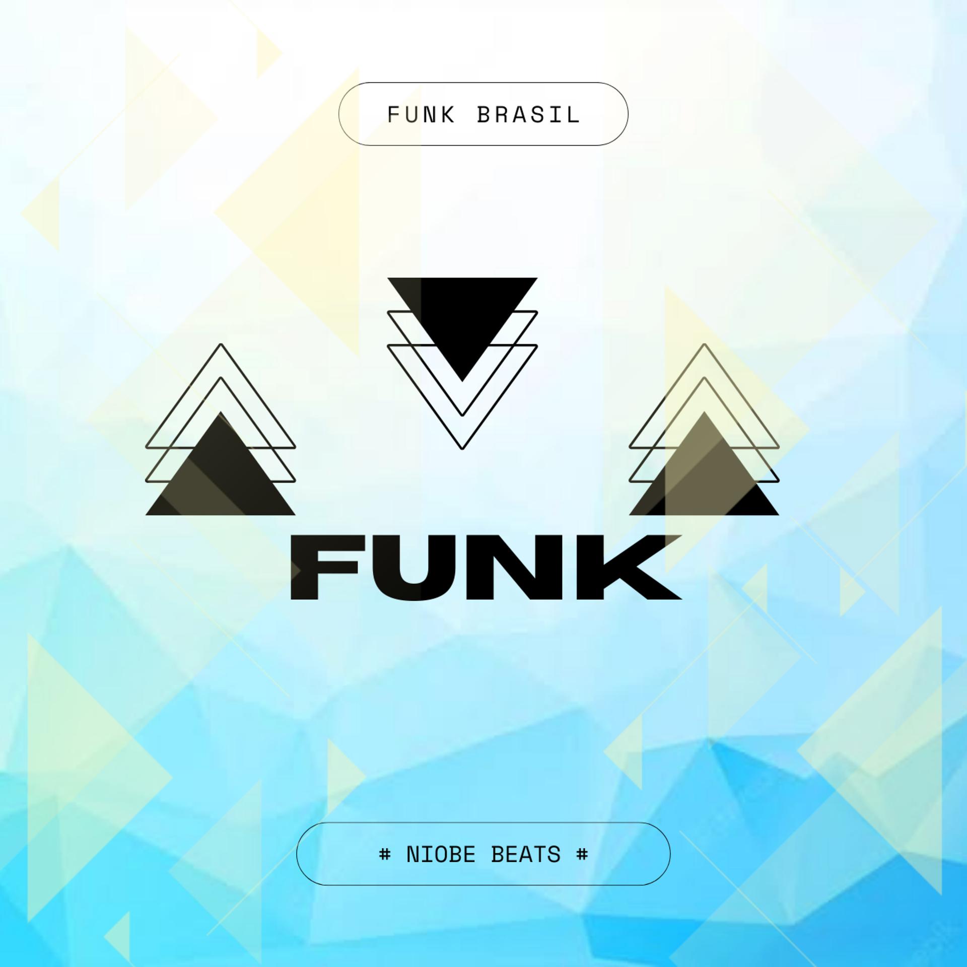Постер альбома Funk Brasil