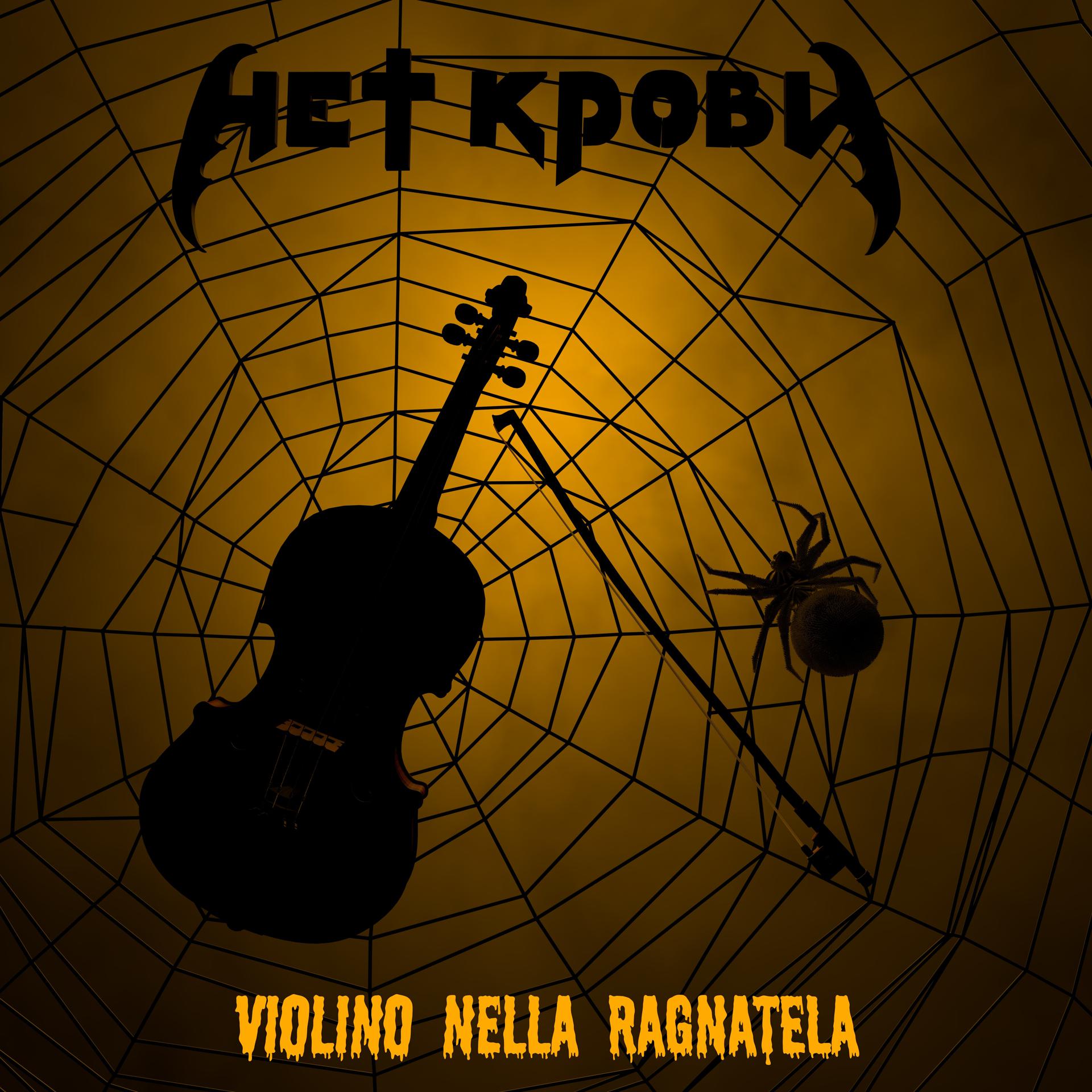Постер альбома Violino nella ragnatela