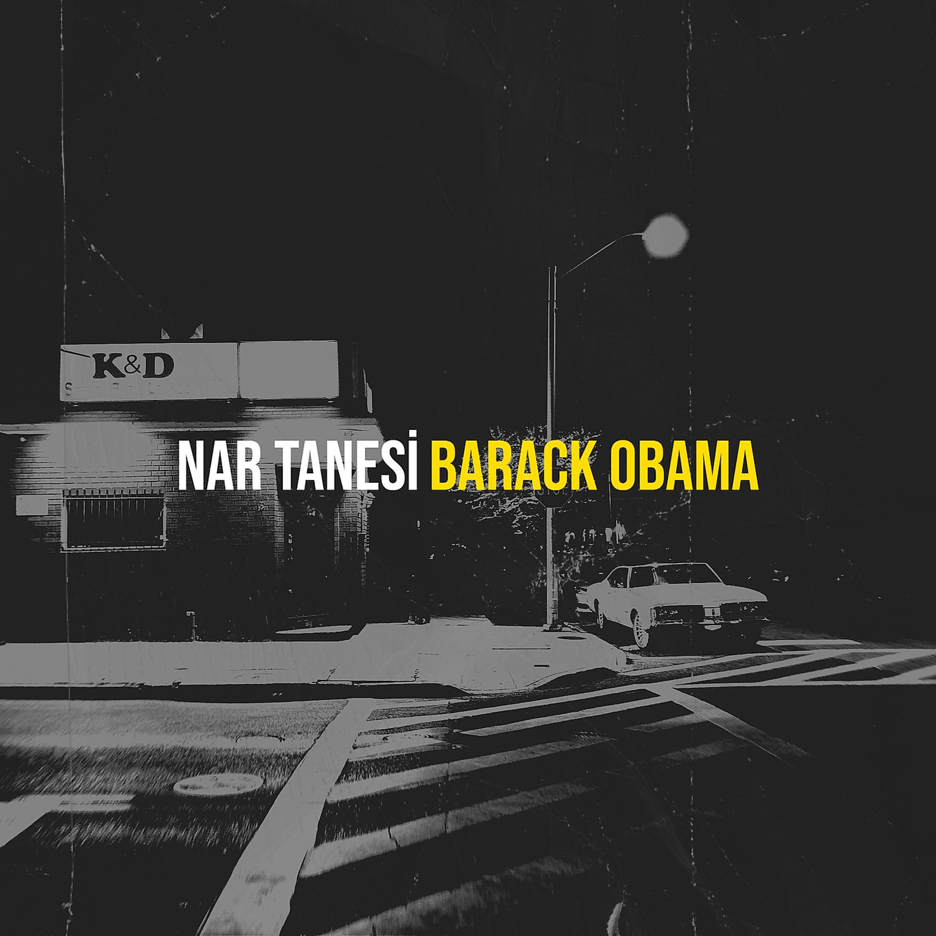 Постер альбома Nar Tanesi