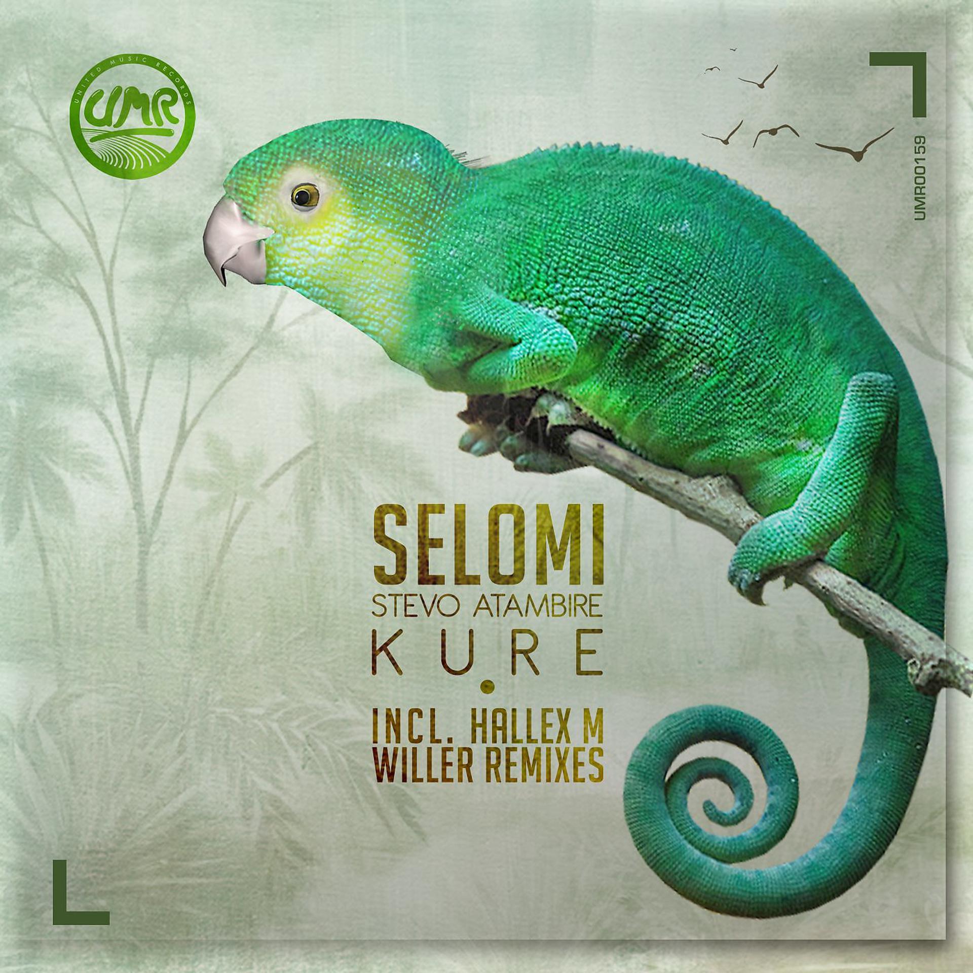 Постер альбома Kure (Inclu. Hallex M Remix)