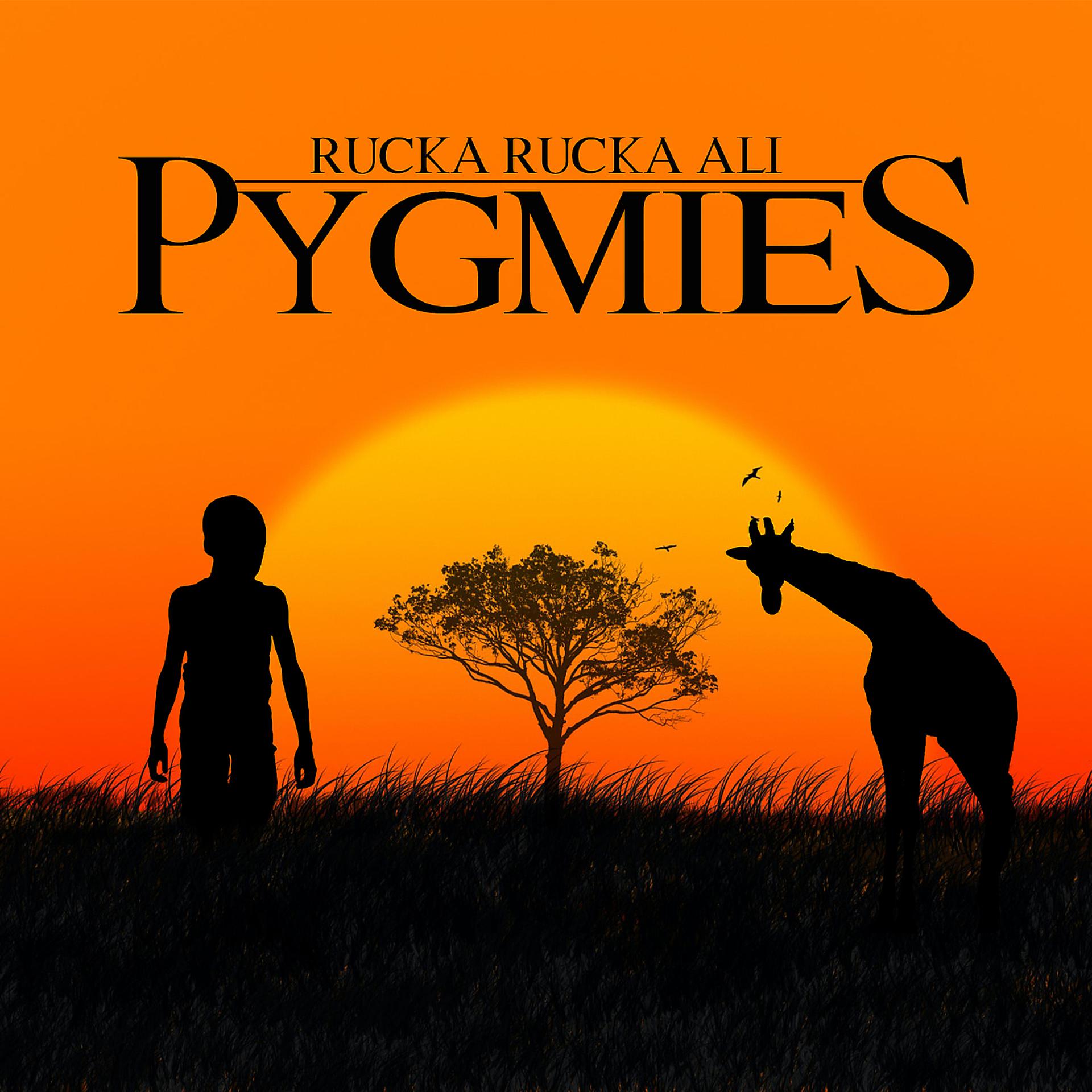 Постер альбома Pygmies