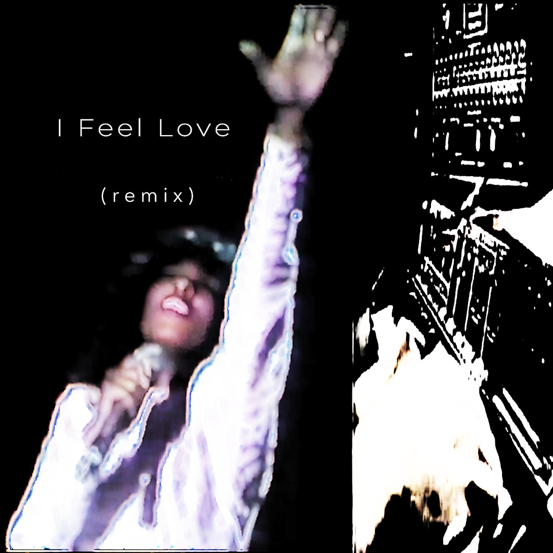 Постер альбома I Feel Love (Remix)