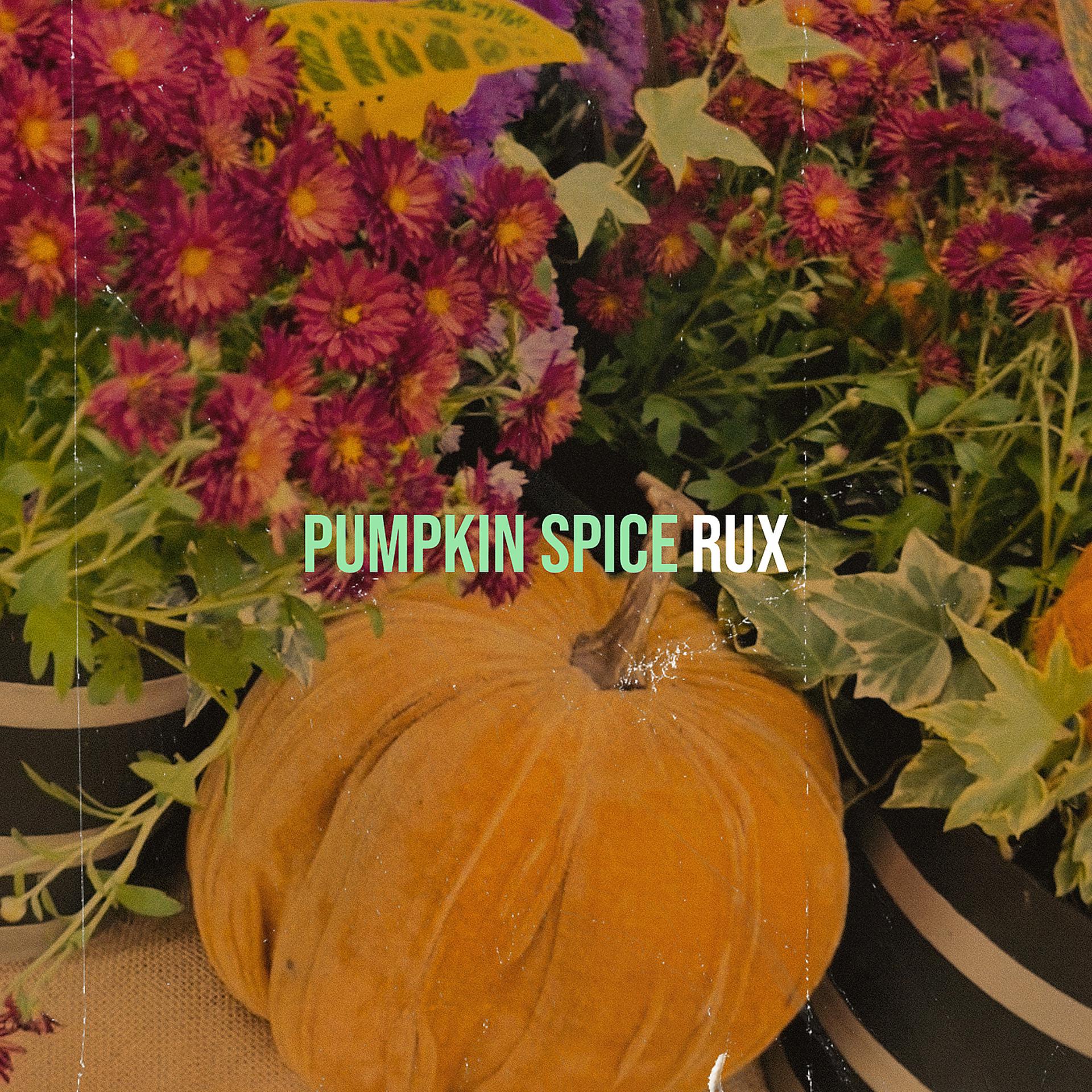 Постер альбома Pumpkin Spice