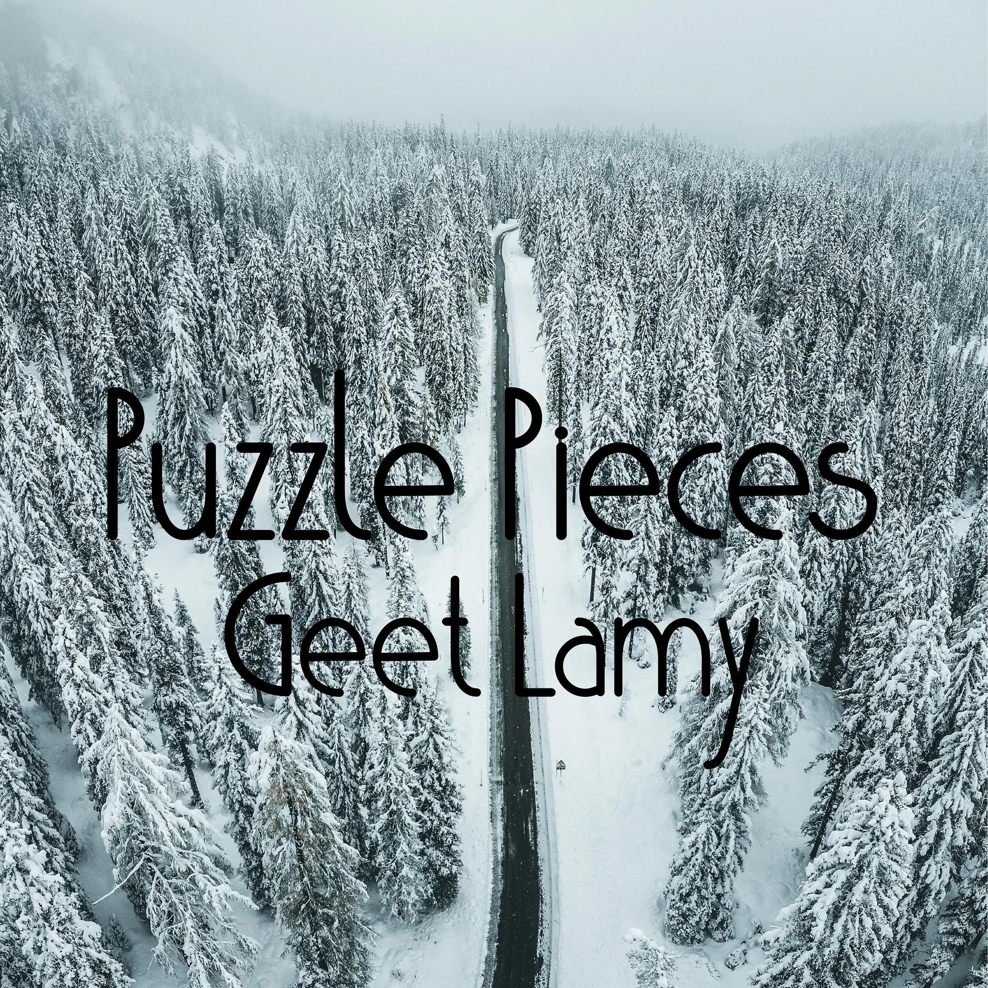 Постер альбома Puzzle Pieces