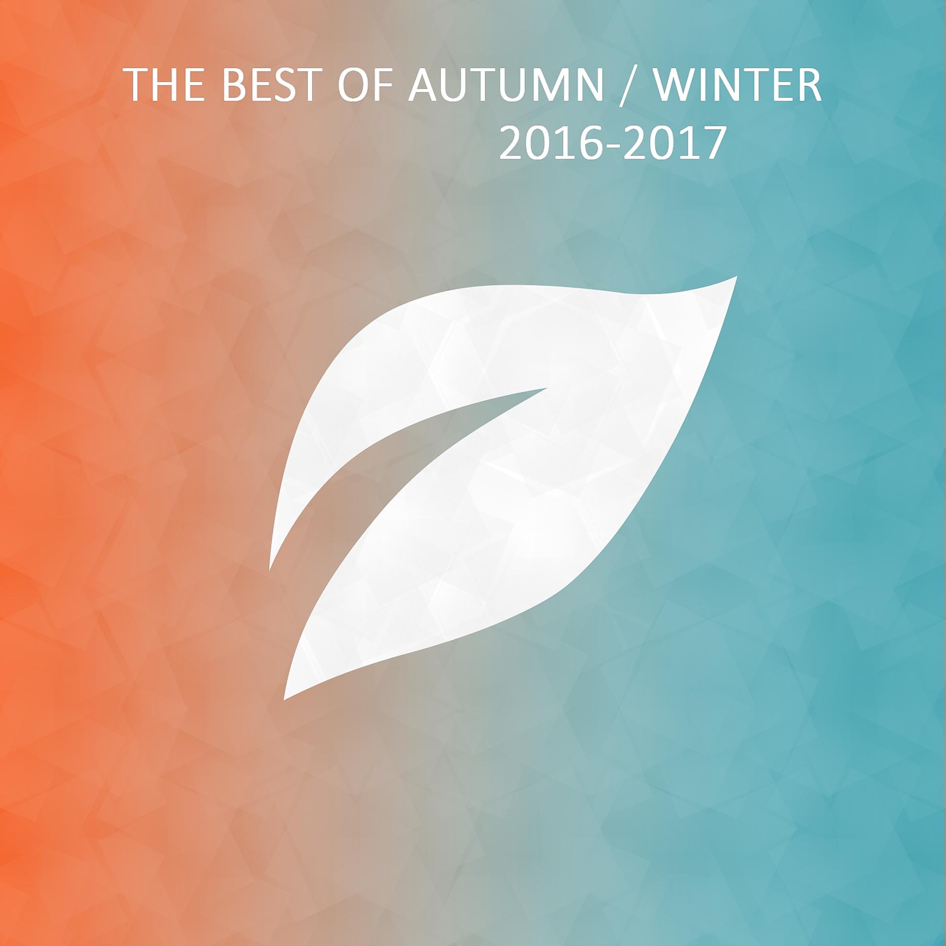 Постер альбома The Best of Autumn / Winter 2016-2017