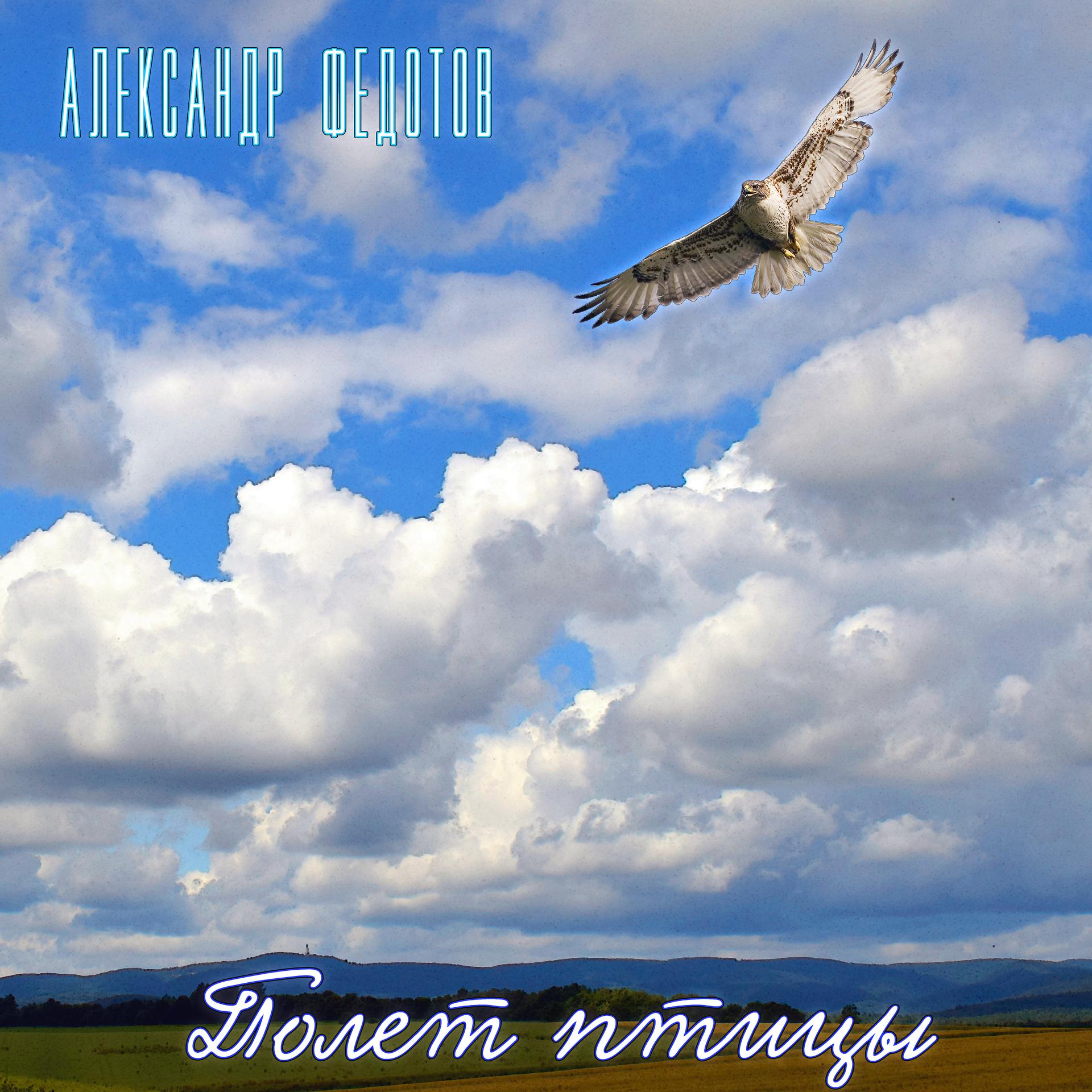 Постер альбома Полёт птицы
